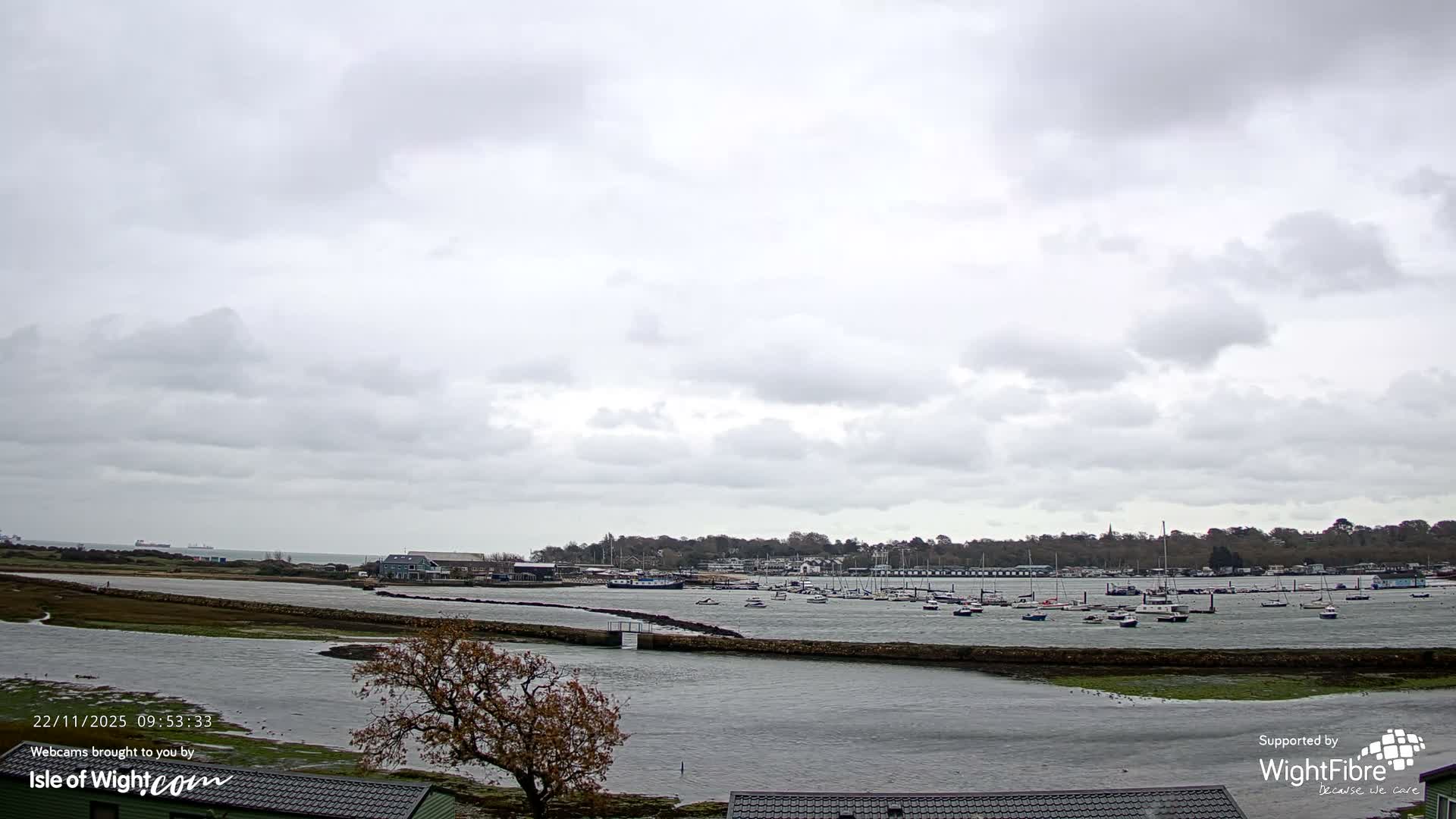 Under an overcast sky, a wide estuary or harbor is filled with numerous moored boats, bordered by a tree with autumn foliage in the foreground and a distant coastline with large ships on the horizon.