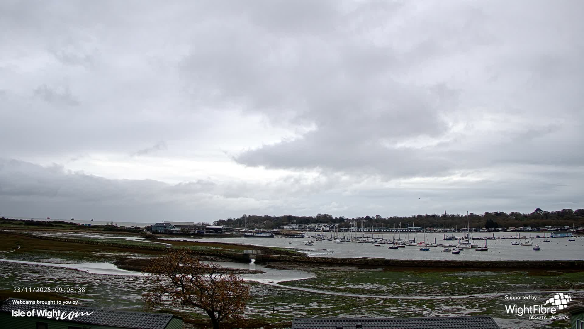 An overcast day reveals a wide estuary filled with numerous boats, bordered by a marshy foreground with a solitary tree and a distant shore lined with buildings and more trees under a uniformly grey, cloudy sky.
