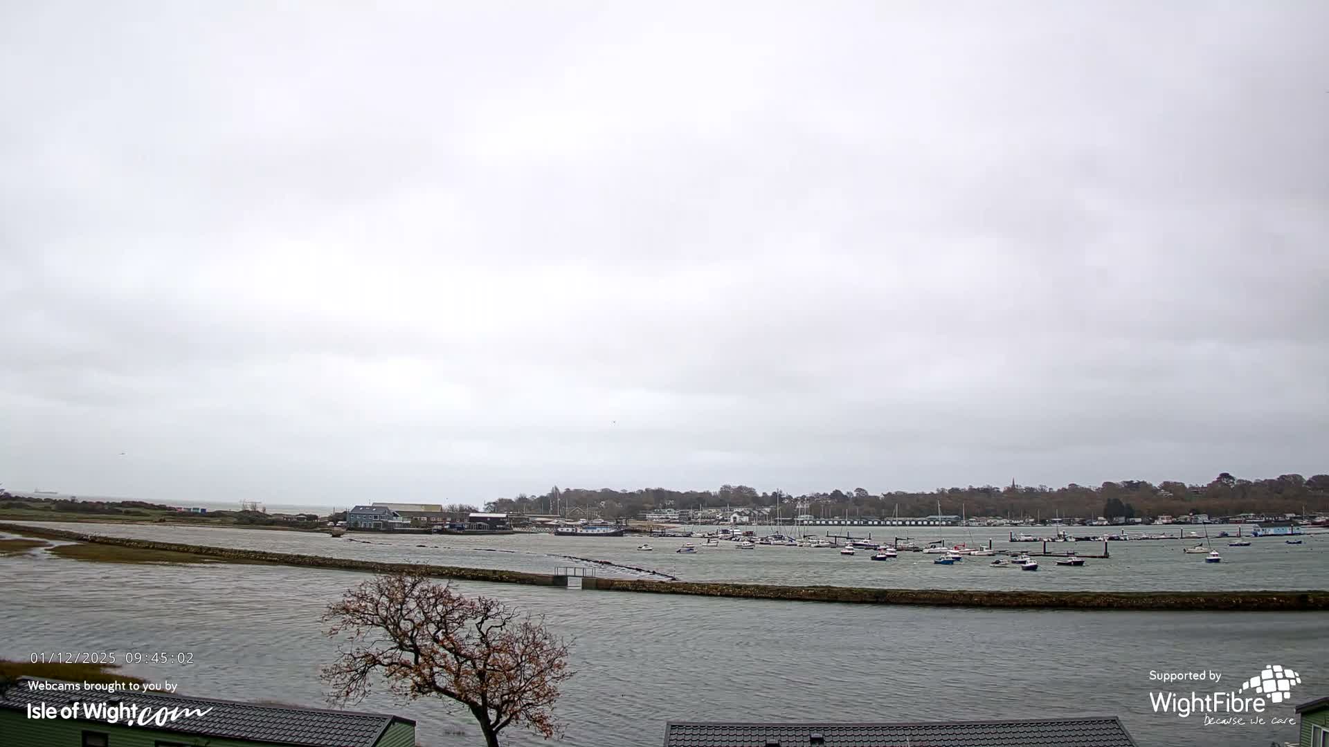 An overcast sky hangs over a wide estuary or harbor filled with numerous moored boats in choppy water, with a distant tree-lined shore featuring buildings and a bare tree and building roof in the foreground.