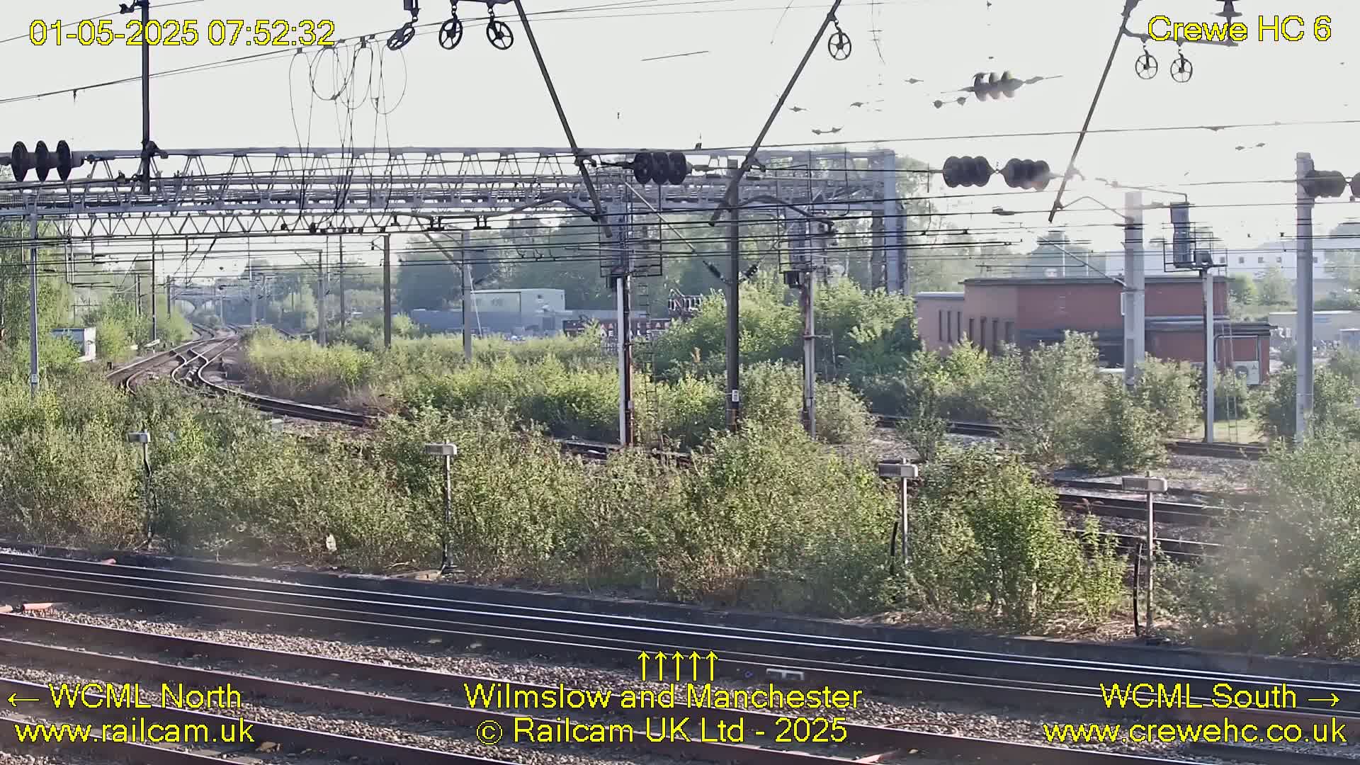 A view of several train tracks curving through lush green vegetation under a mostly clear sky.