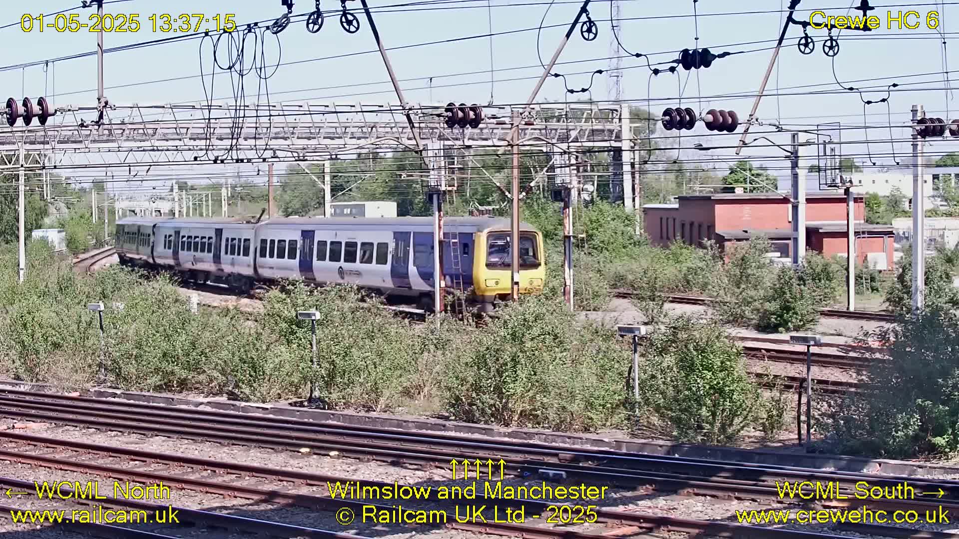 A long, light-grey and yellow passenger train moves along railway tracks on a sunny day, passing through overgrown vegetation beside the tracks.