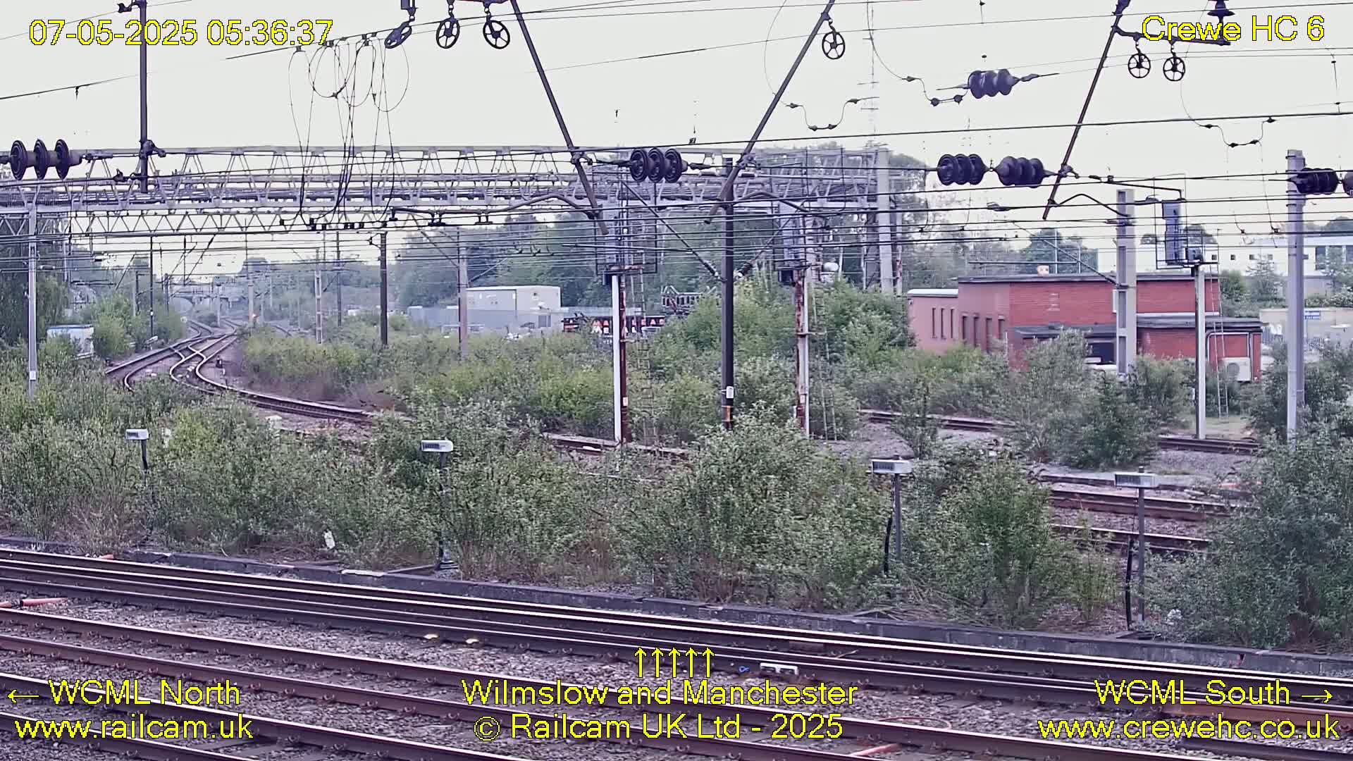 Several train tracks curve through a landscape of overgrown vegetation under an overcast sky.