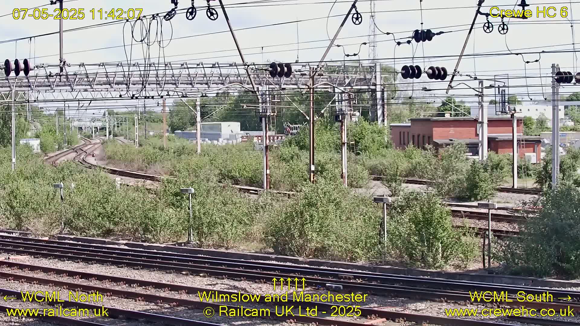 A view of a railway yard with multiple tracks curving through overgrown vegetation under a partly cloudy sky.
