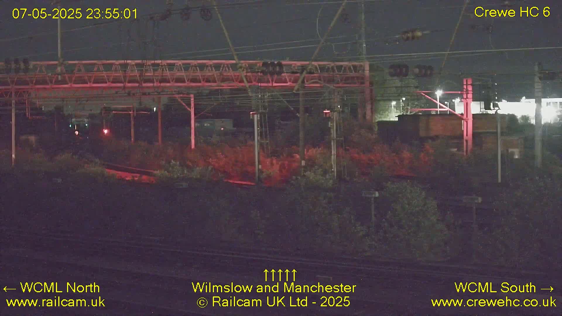 A nighttime view of a train station with a train passing under an overpass, surrounded by dark vegetation.