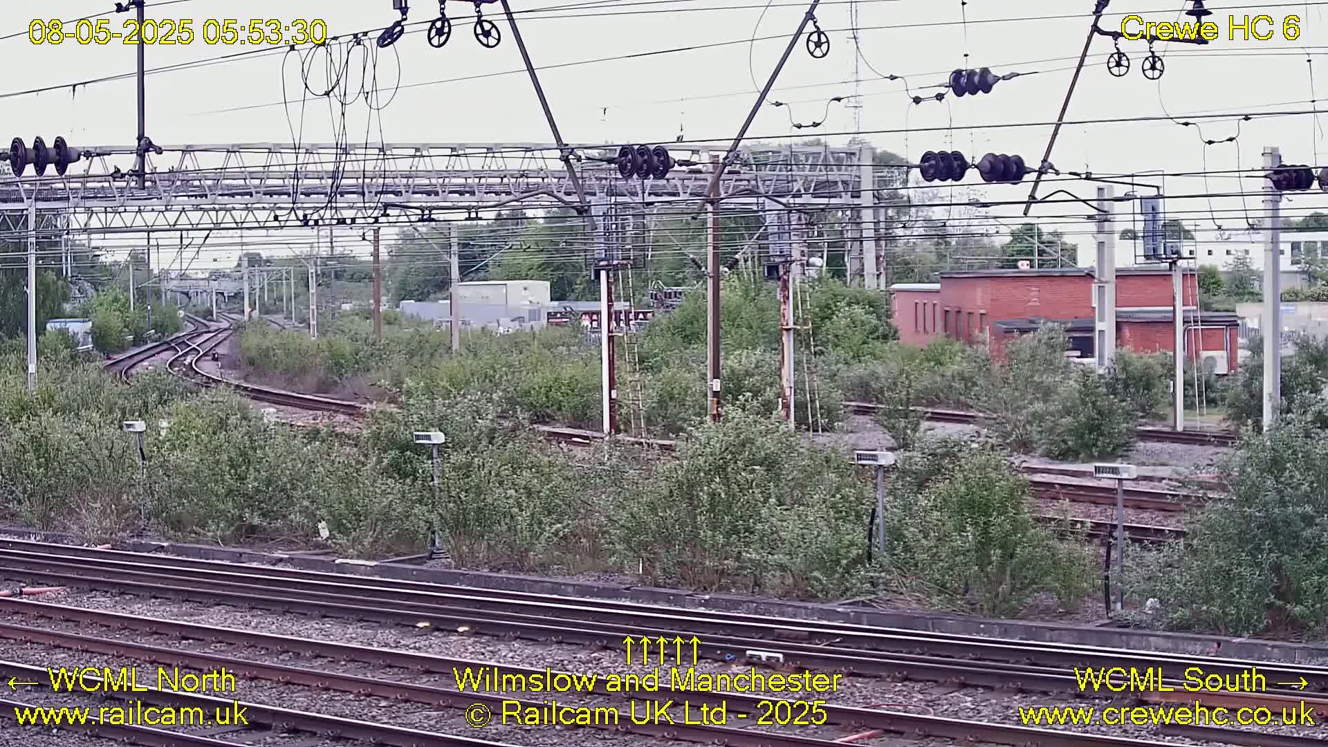 Overgrown railroad tracks curve through a landscape of green bushes and a red brick building under an overcast sky.