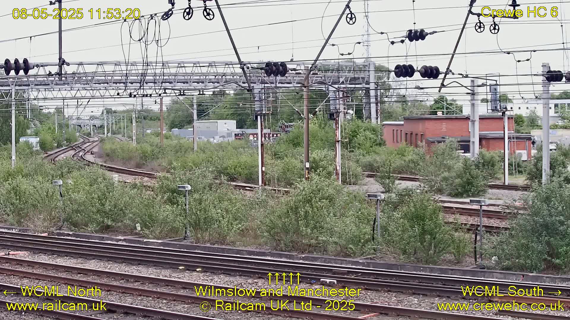 Overgrown vegetation surrounds railway tracks that curve away from the camera, under a mostly cloudy sky.