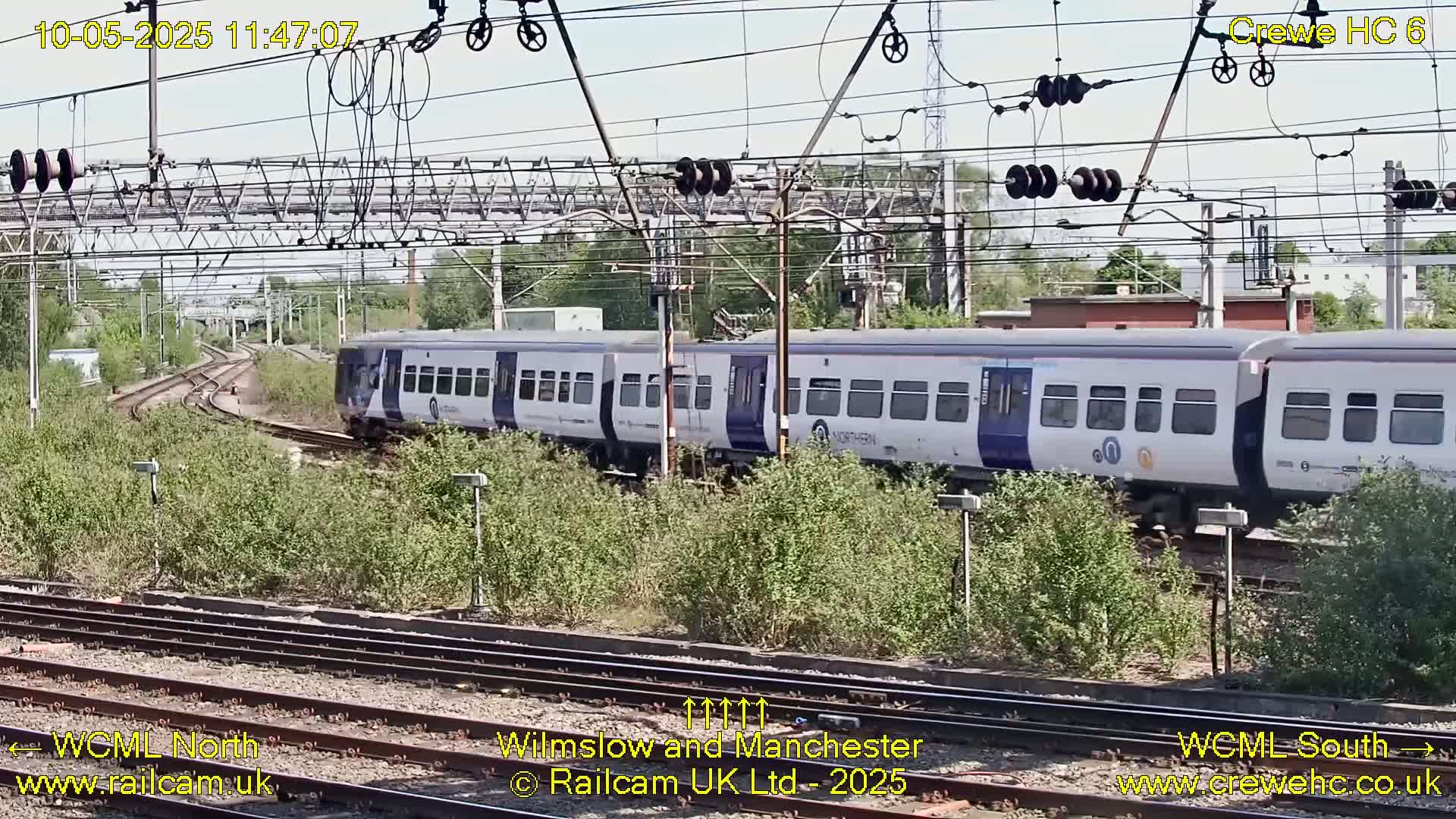 A two-car passenger train passes by on a sunny day, traveling along a railway track lined with vegetation.