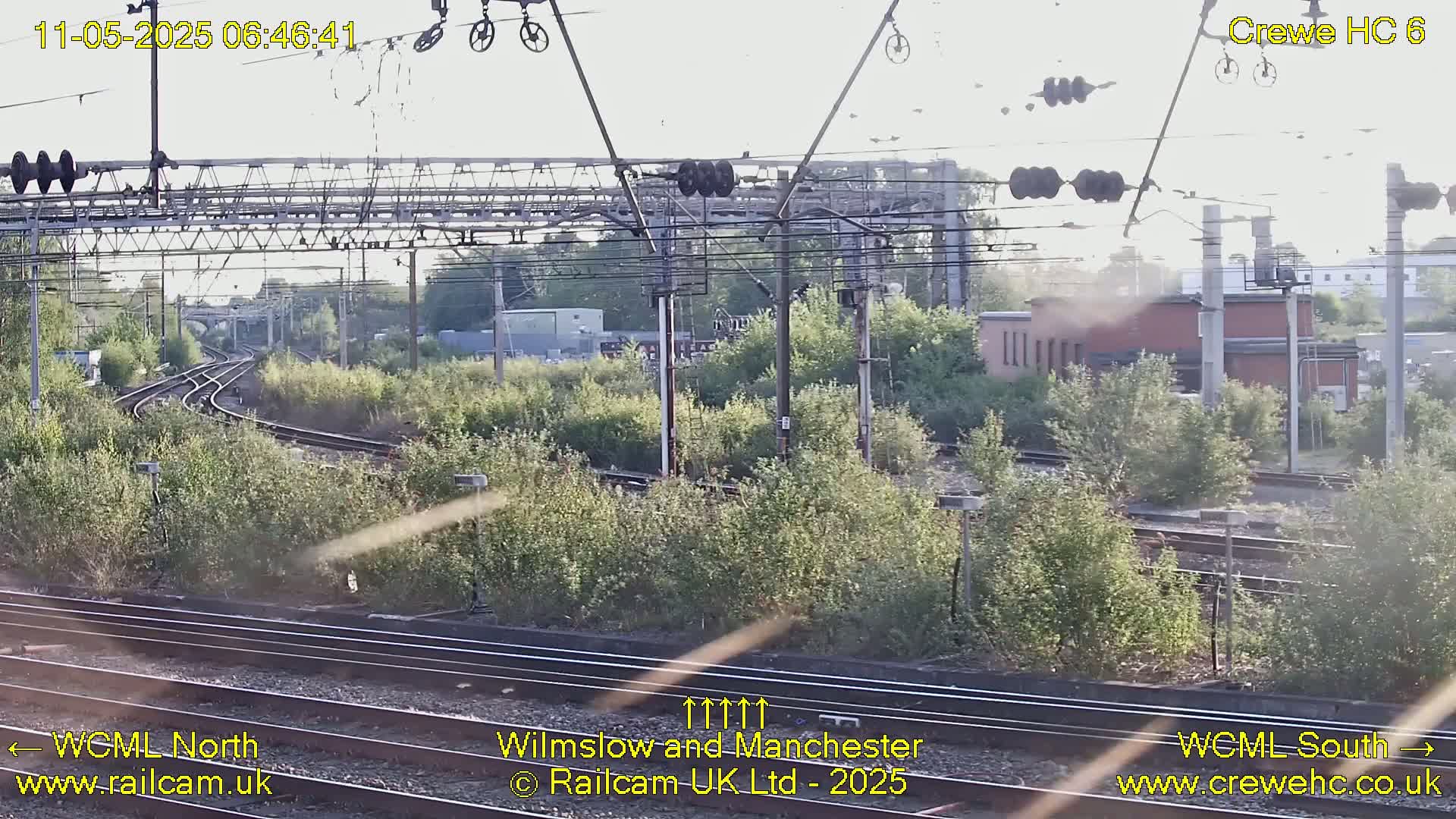 A view of railway tracks winding through overgrown vegetation under a partly sunny sky.