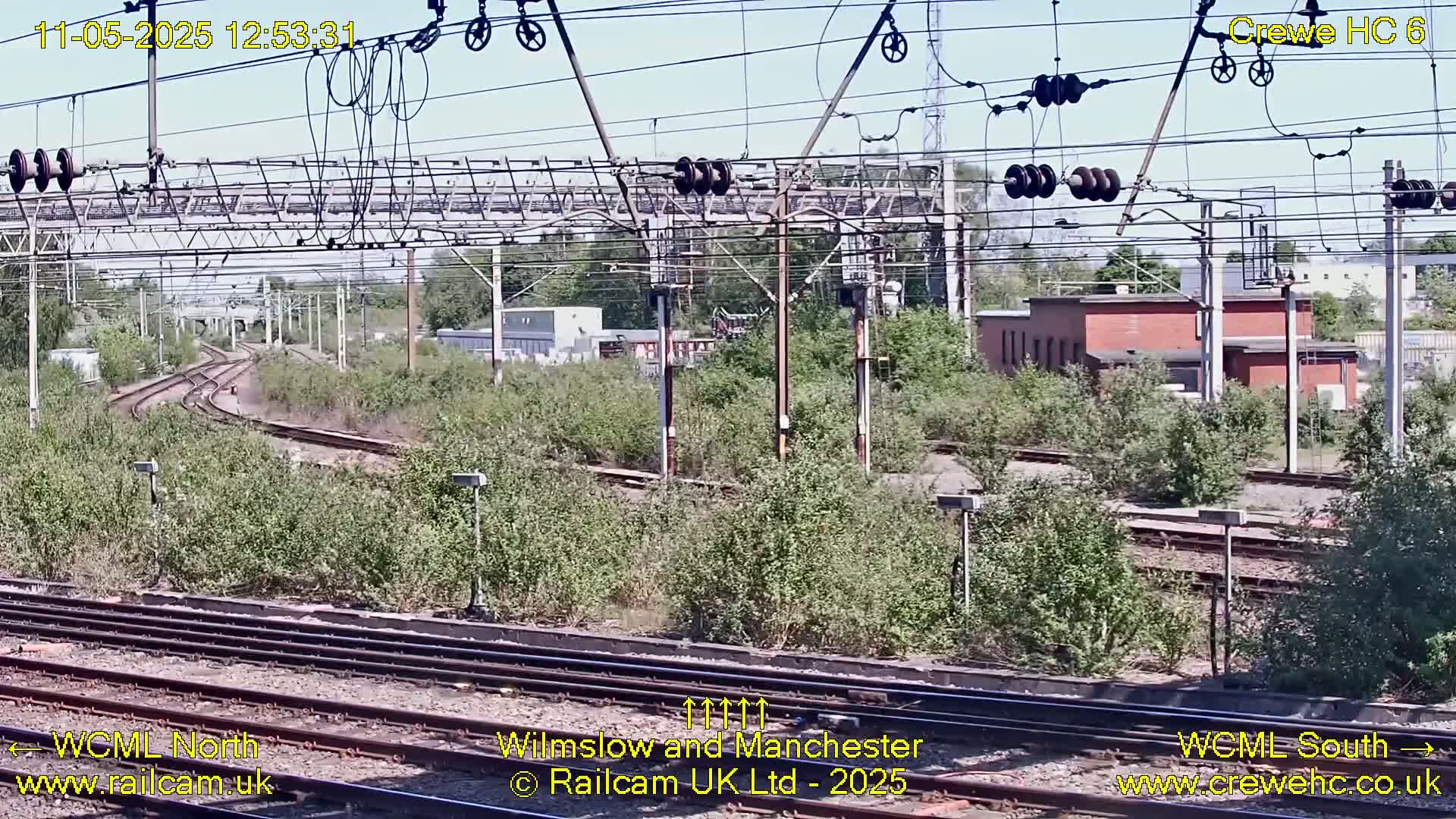 A sunny view of a railway yard with multiple train tracks, overhead power lines, and overgrown vegetation.