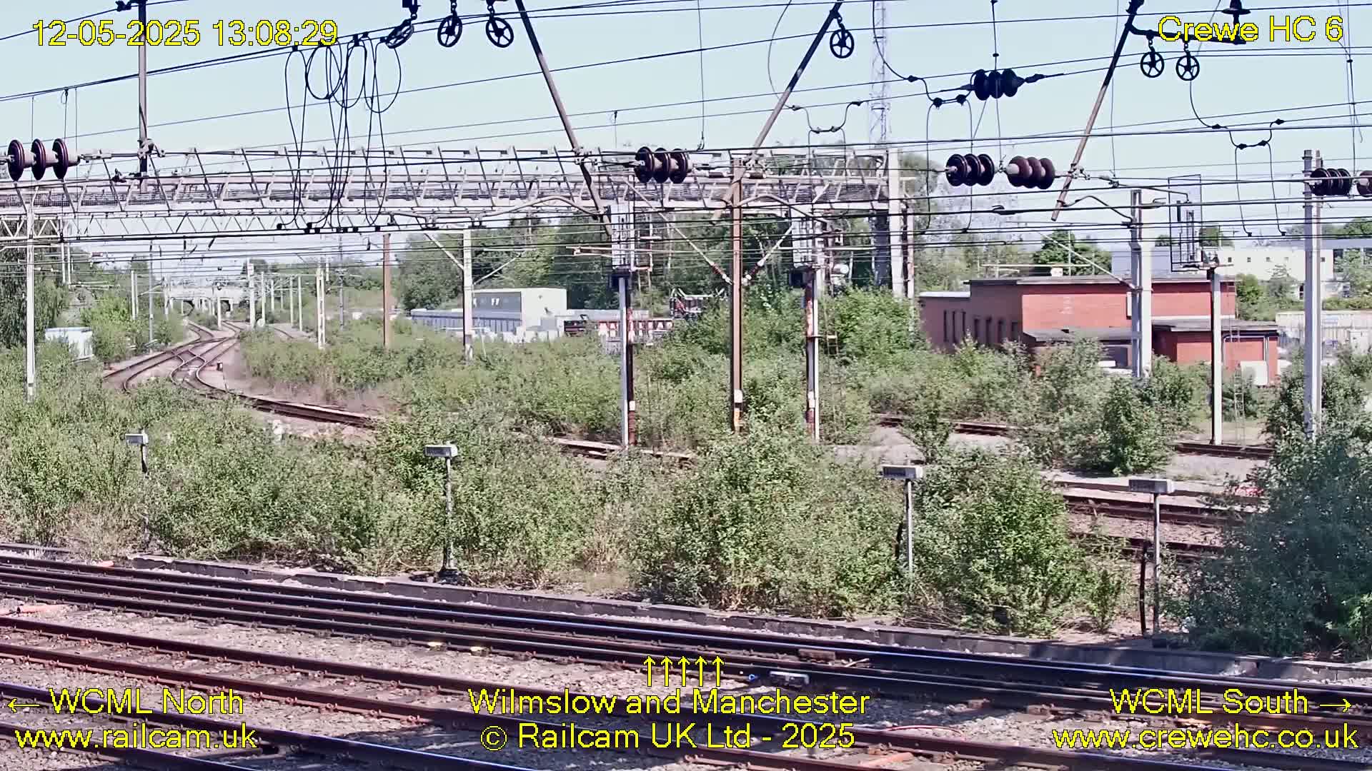 A high-angle view of train tracks winding through overgrown vegetation under a sunny sky, with overhead power lines and a brick building visible in the distance.