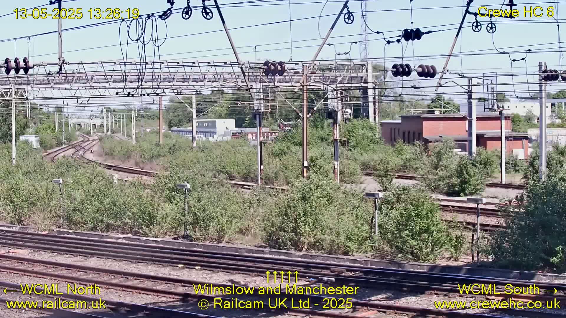 A sunny view of a railway yard with multiple tracks curving through overgrown vegetation, under an overhead power line system.