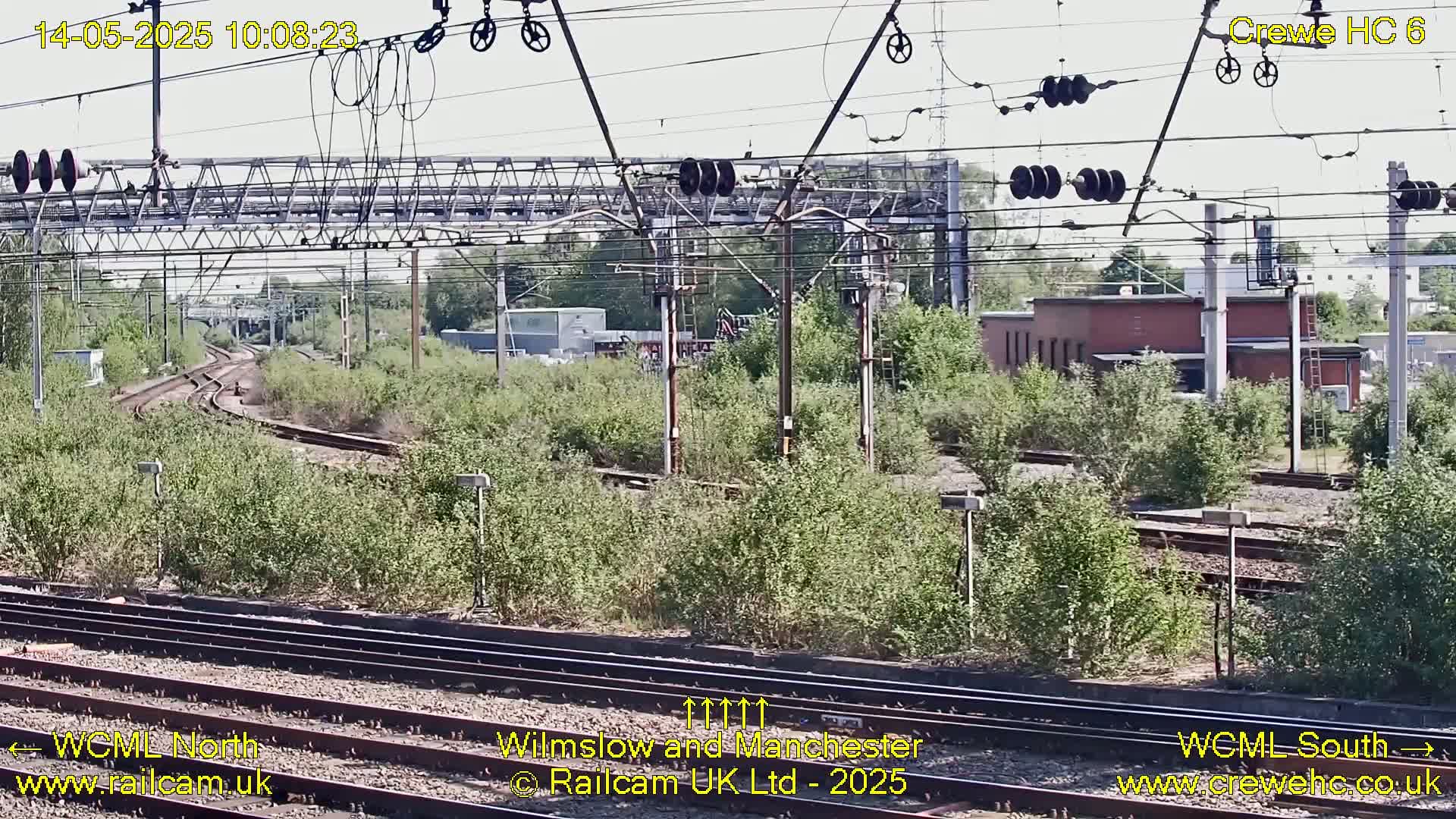 A sunny view of railway tracks curving through overgrown vegetation under a network of overhead wires.