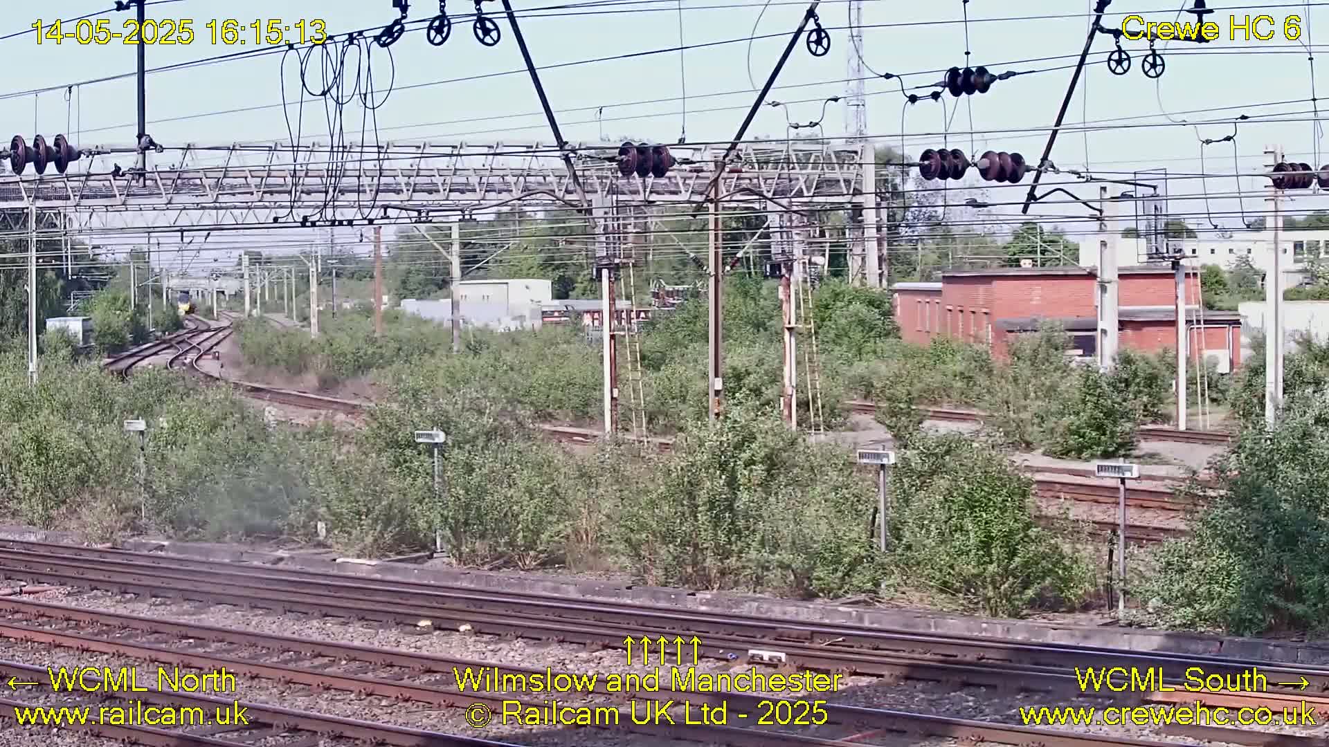 A high-angle view of a railway switching yard on a sunny day, showing multiple tracks weaving through overgrown vegetation and past a red brick building.