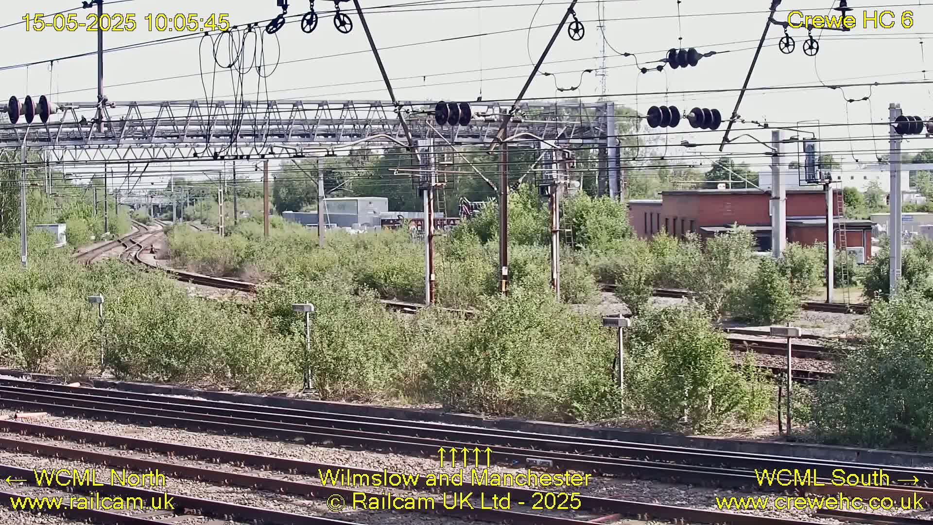 A sunny outdoor view of railway tracks branching off into overgrown vegetation, with overhead power lines and electrical equipment.