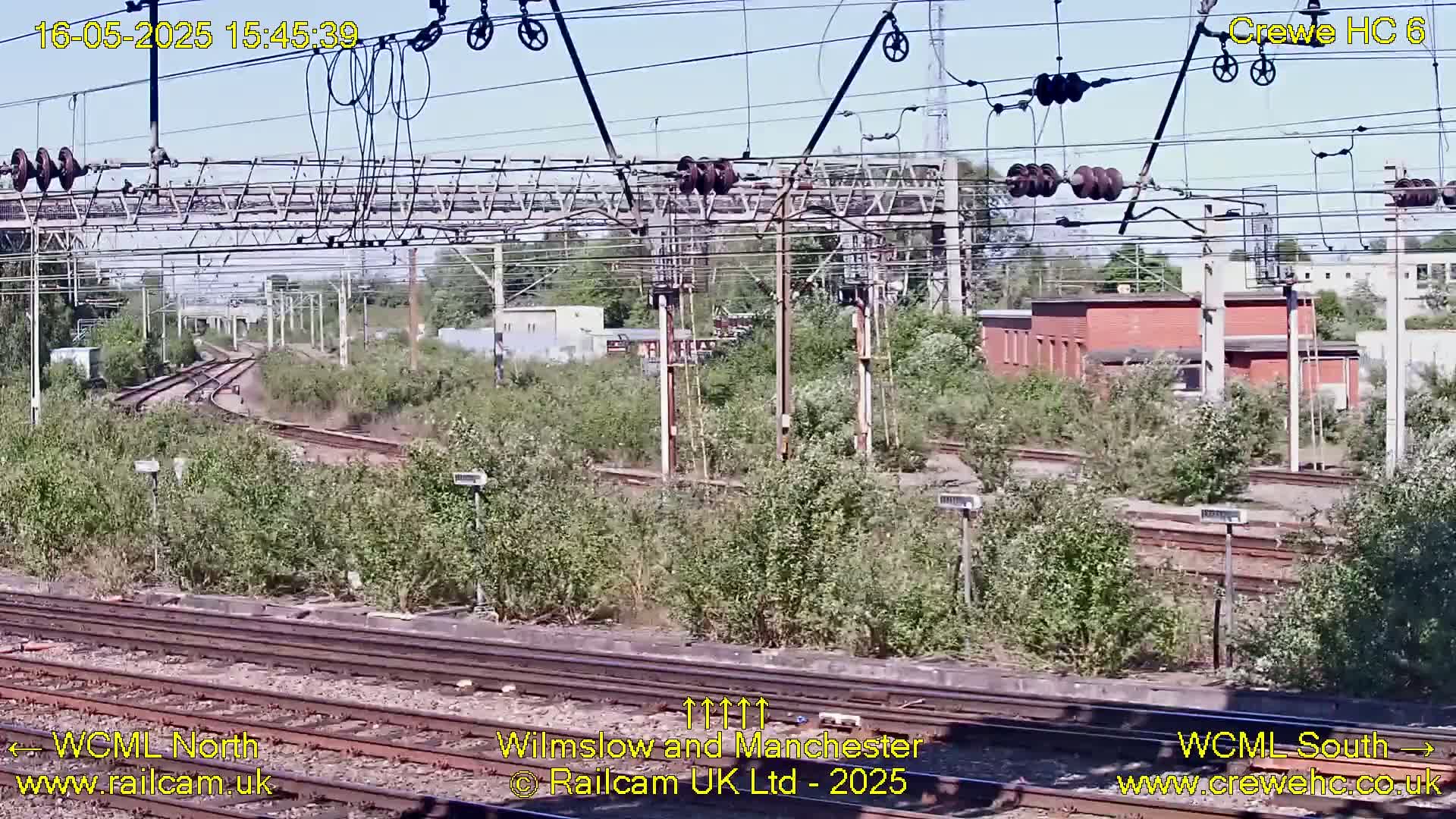 A sunny view of railway tracks, overhead wires, and overgrown vegetation surrounding a railway yard.