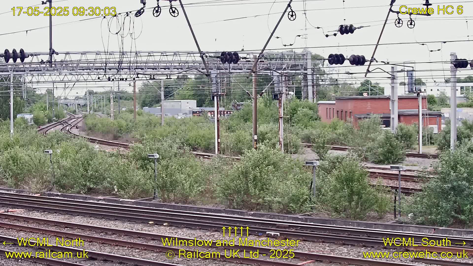 Overgrown vegetation surrounds railway tracks and electrical infrastructure under an overcast sky.