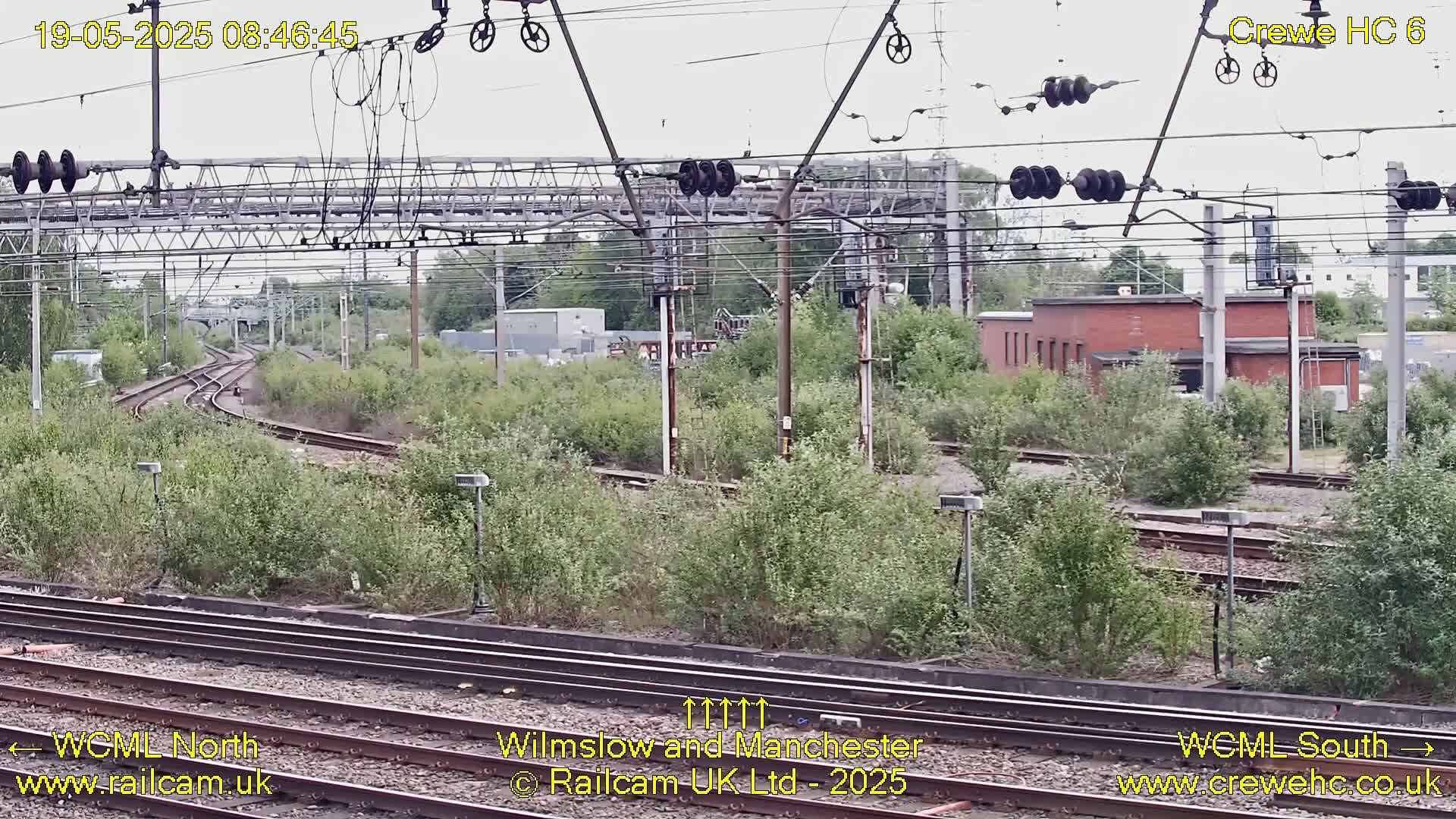 A view of railway tracks and infrastructure on an overcast day, with overgrown vegetation between the tracks and nearby buildings.