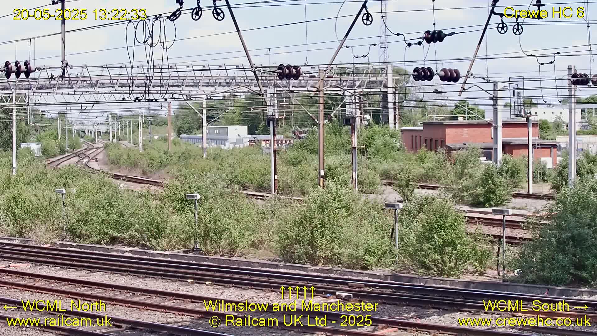 Overhead railway lines and electrical equipment are situated above a network of train tracks partially obscured by overgrown vegetation under a mostly clear sky.