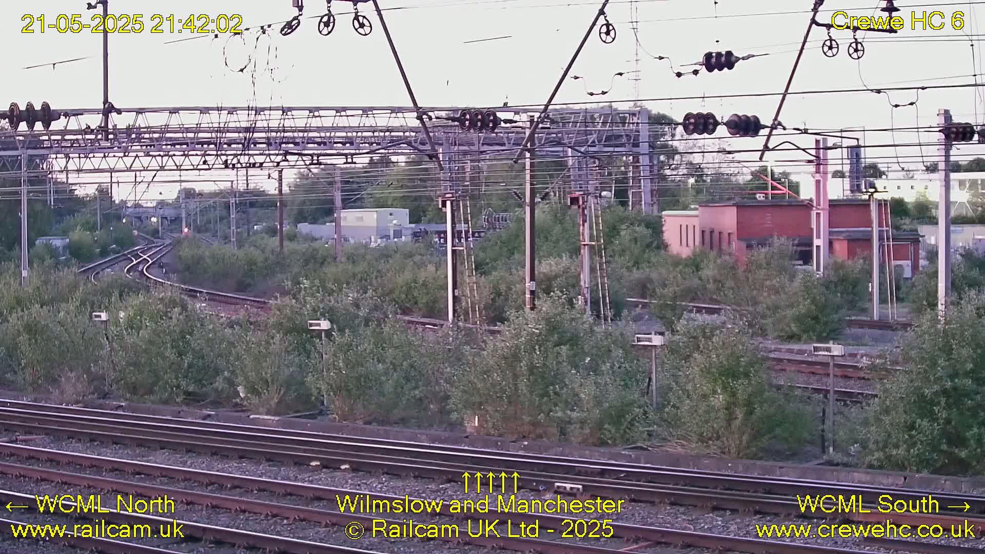 A view of railway tracks curving through overgrown vegetation under a twilight sky, with overhead power lines and electrical equipment visible.
