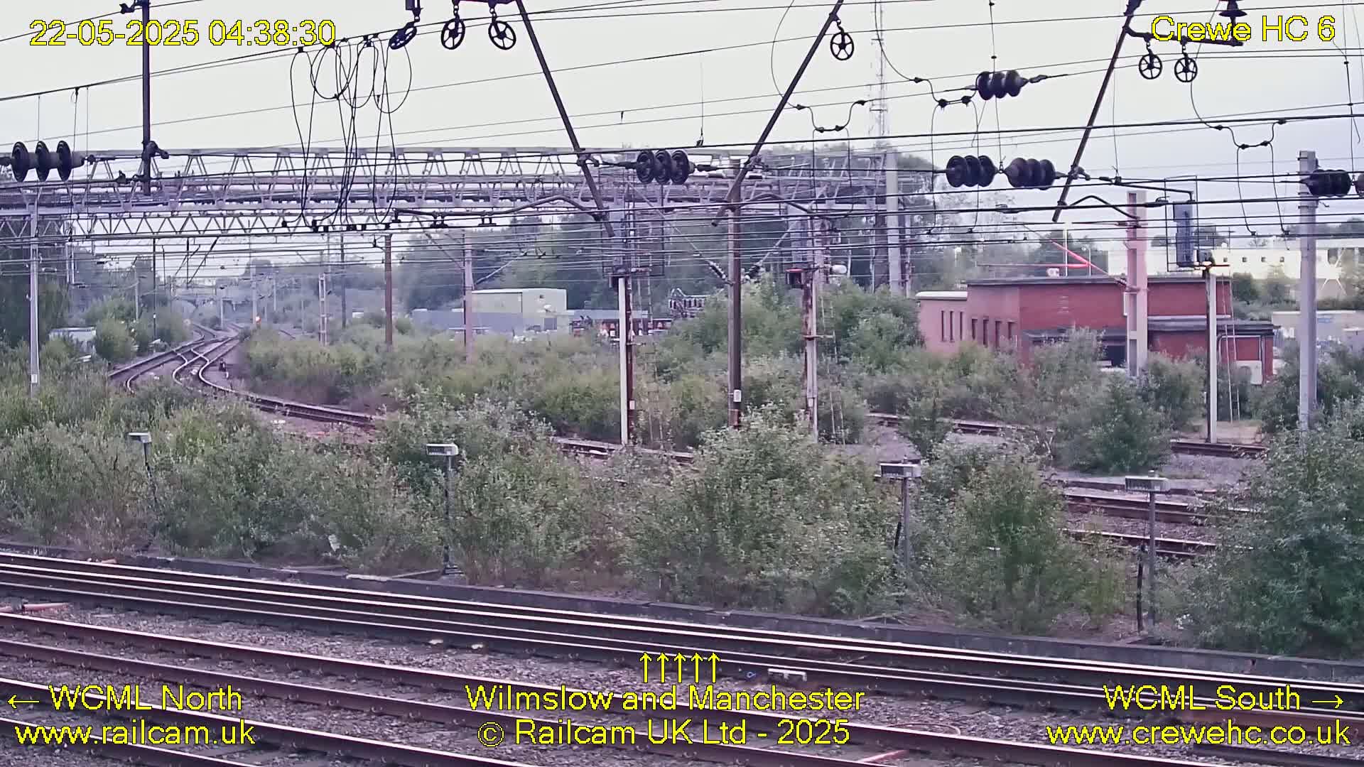 Multiple train tracks curve through a landscape of green bushes and trees under an overcast sky.