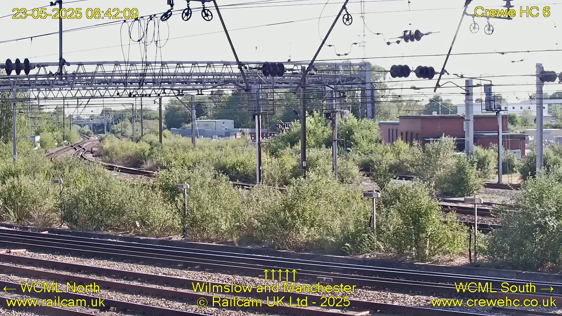 A high-angle view of a railway junction on a sunny day, showing several train tracks curving through green vegetation and under electrical lines.