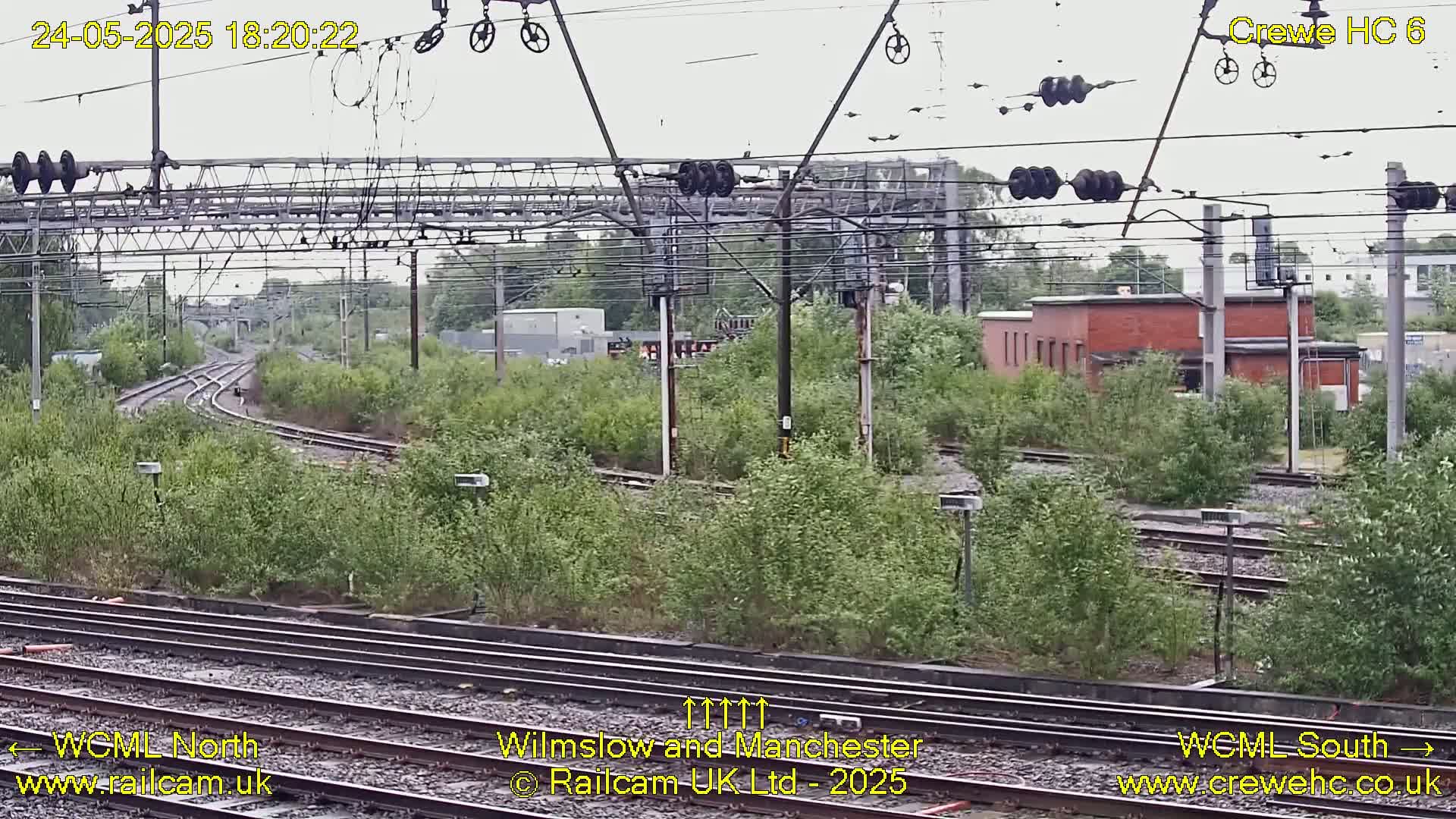 Overgrown vegetation surrounds a railway junction under an overcast sky.