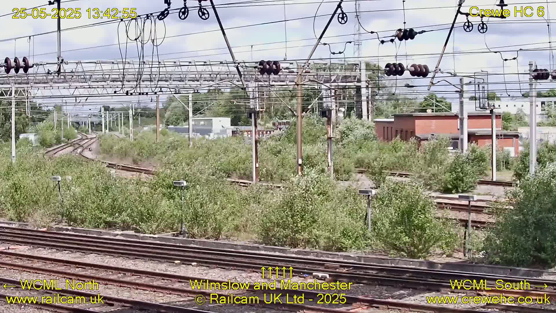 Overgrown vegetation surrounds several train tracks and railway infrastructure under a partly cloudy sky.