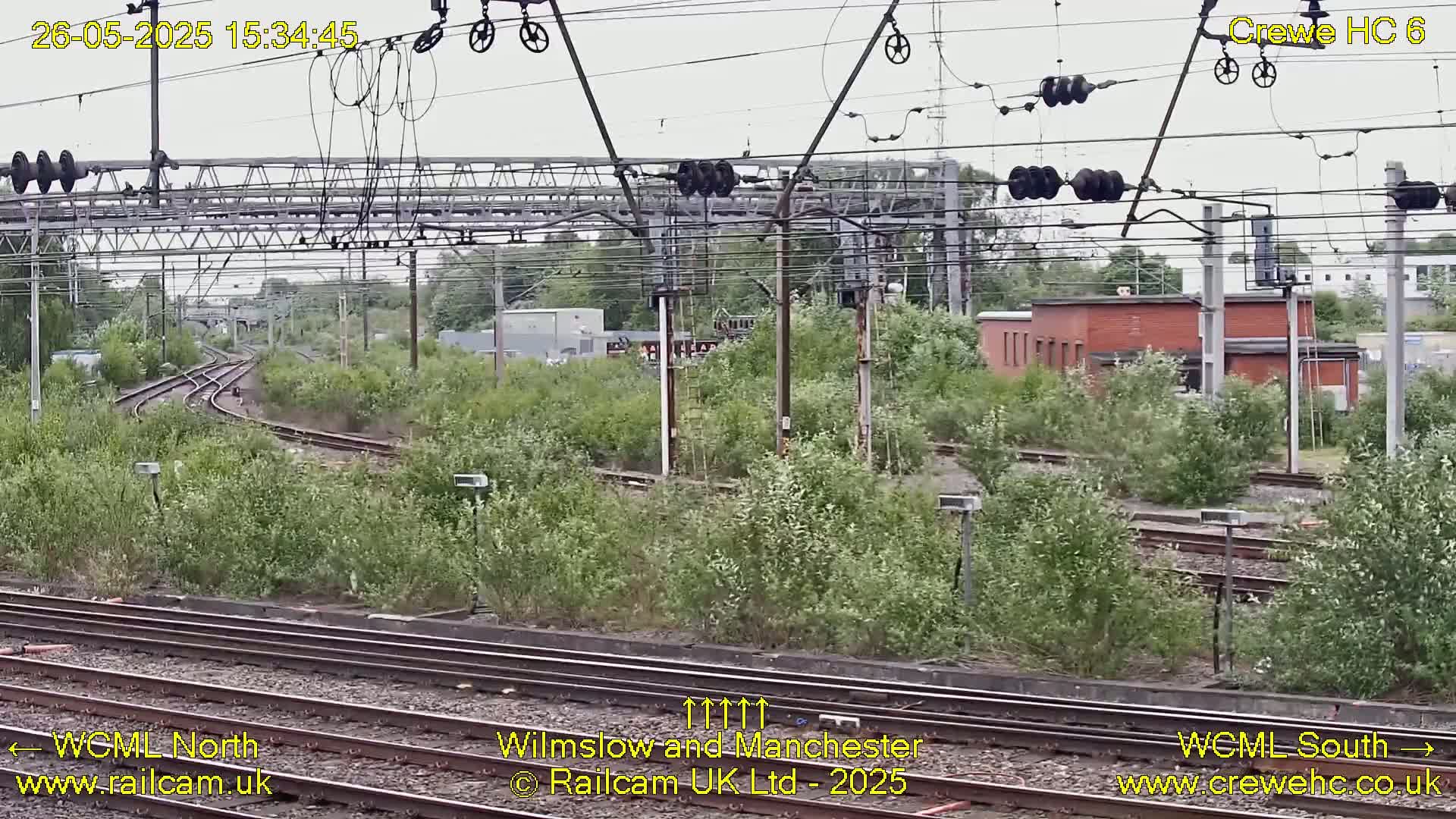 Overgrown vegetation surrounds several railway tracks and overhead electrical lines under an overcast sky.