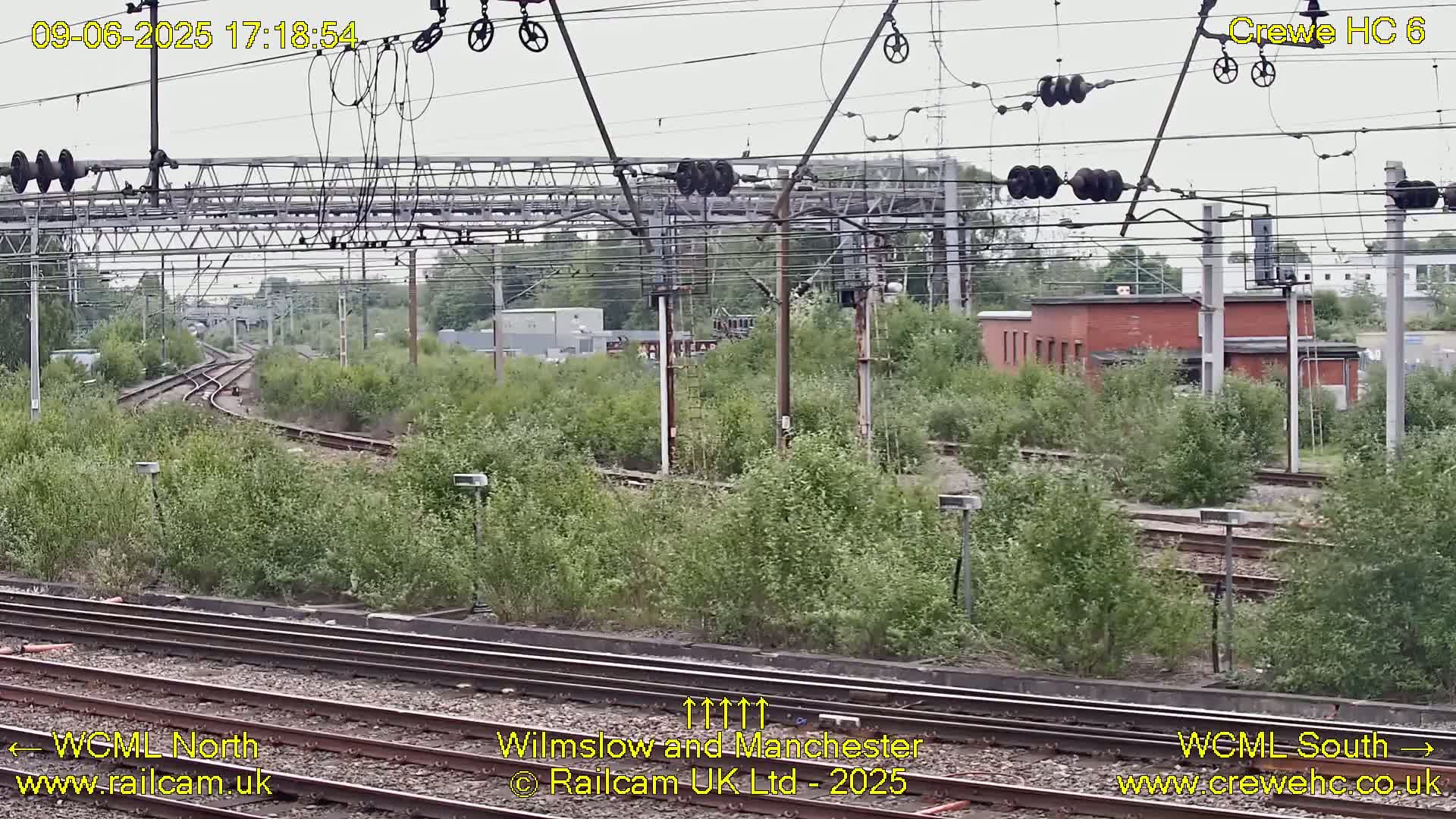 A view of a railway yard with multiple tracks curving through overgrown vegetation under an overcast sky.