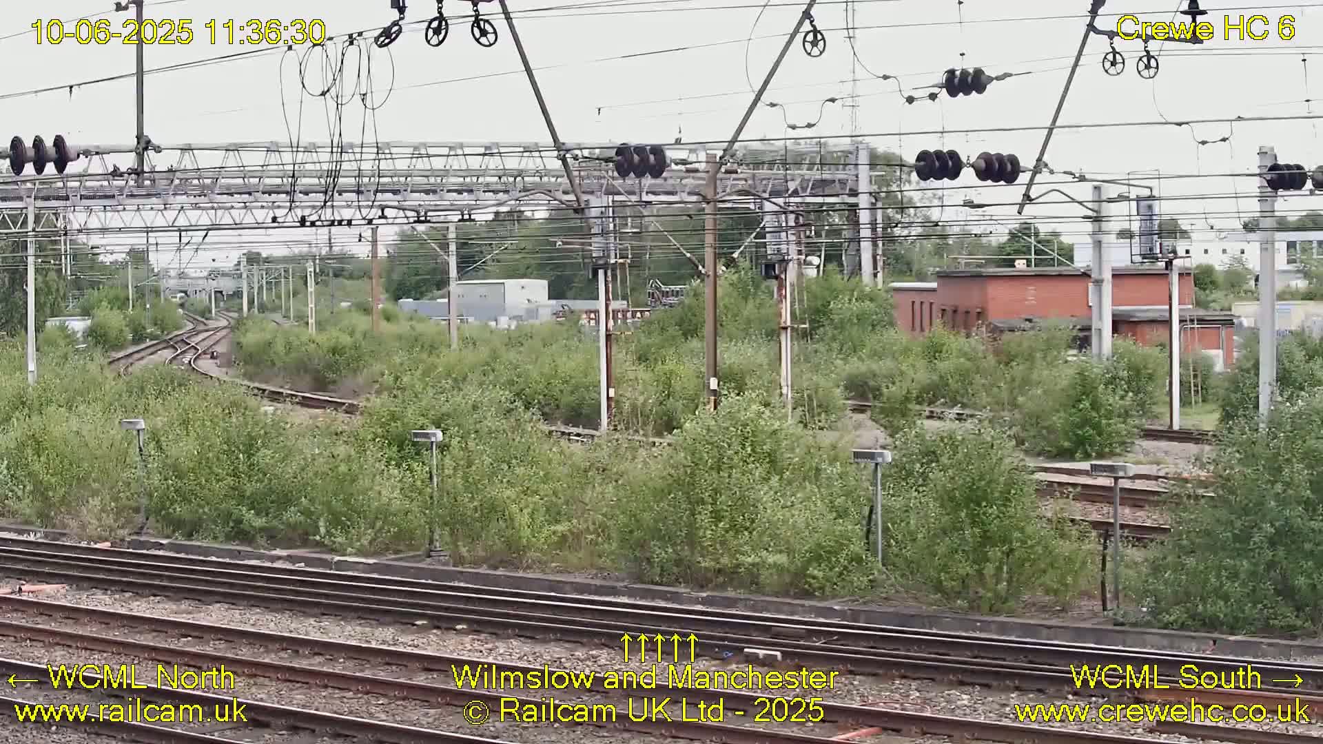 A view of railway tracks and overhead lines curving through overgrown vegetation under an overcast sky.