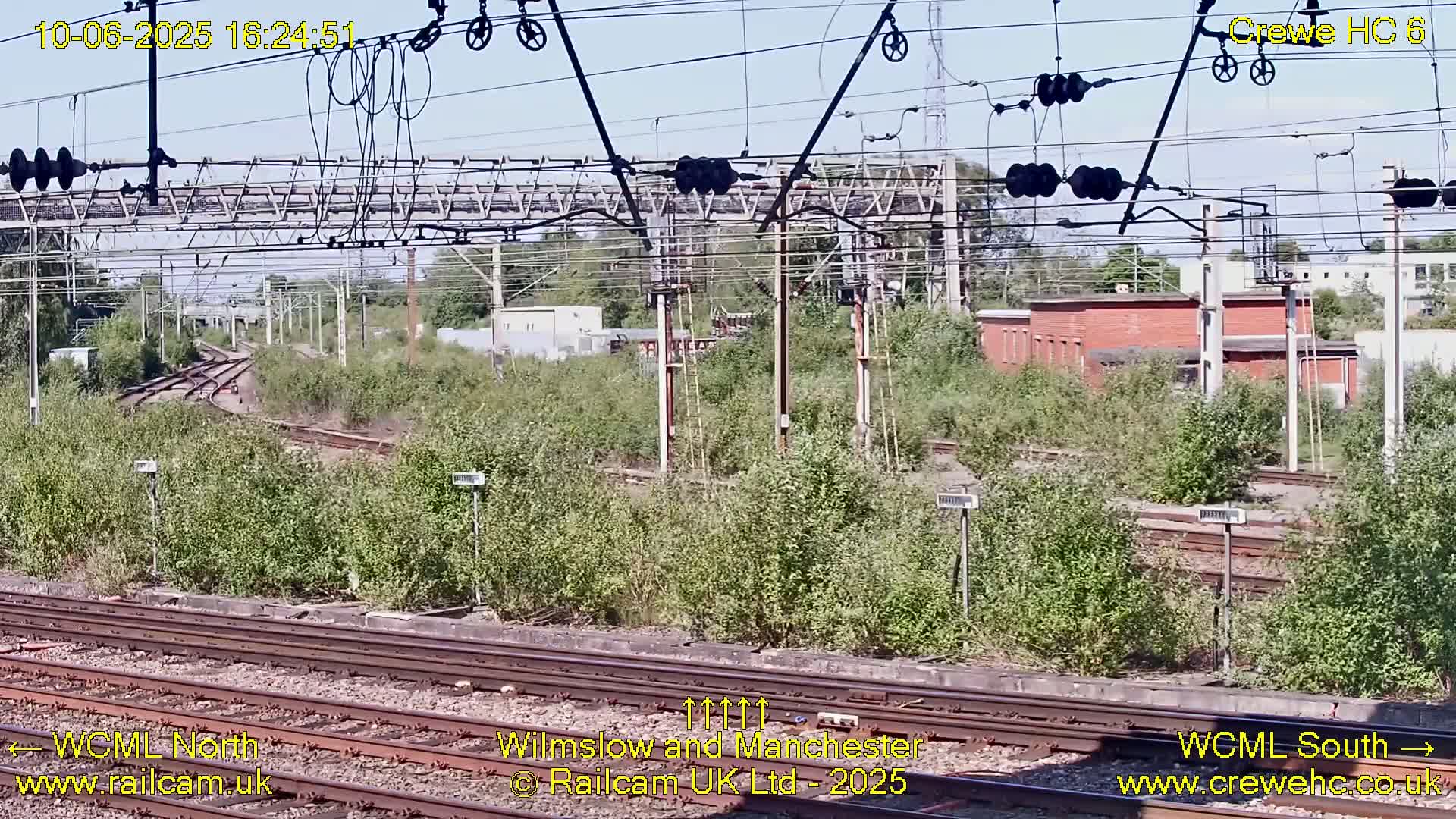 A sunny view of railway tracks and infrastructure overgrown with vegetation.