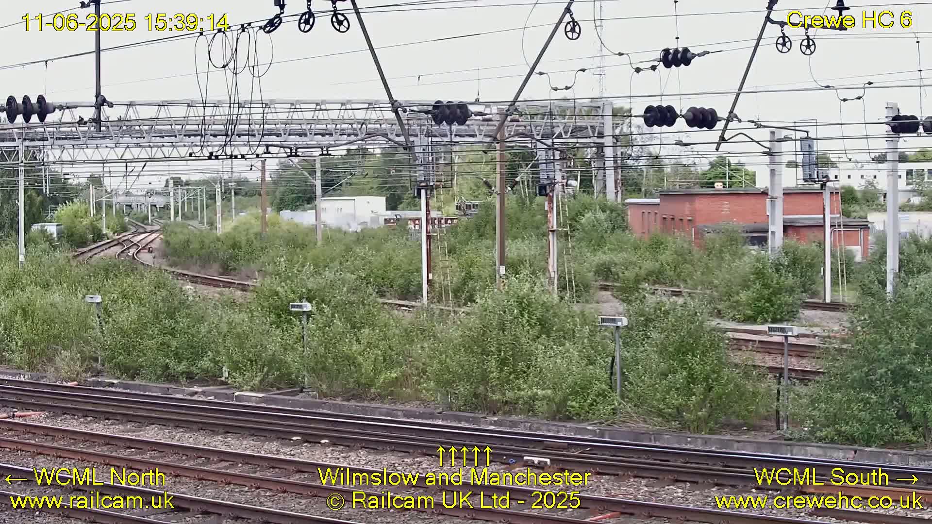 A view of railway tracks and overhead lines, partially obscured by overgrown vegetation, under an overcast sky.