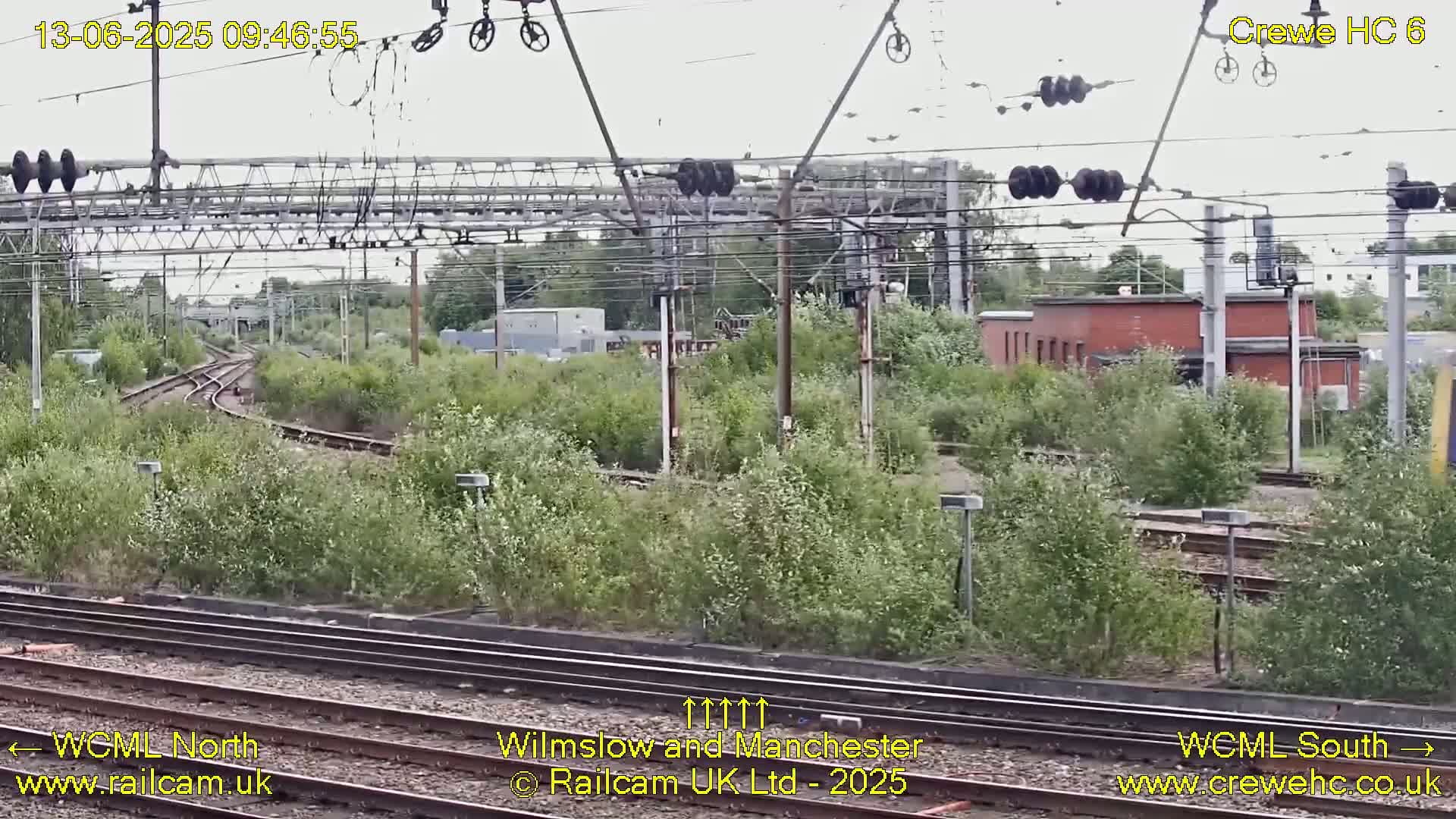 A view of railway tracks curving through overgrown vegetation under an overcast sky.