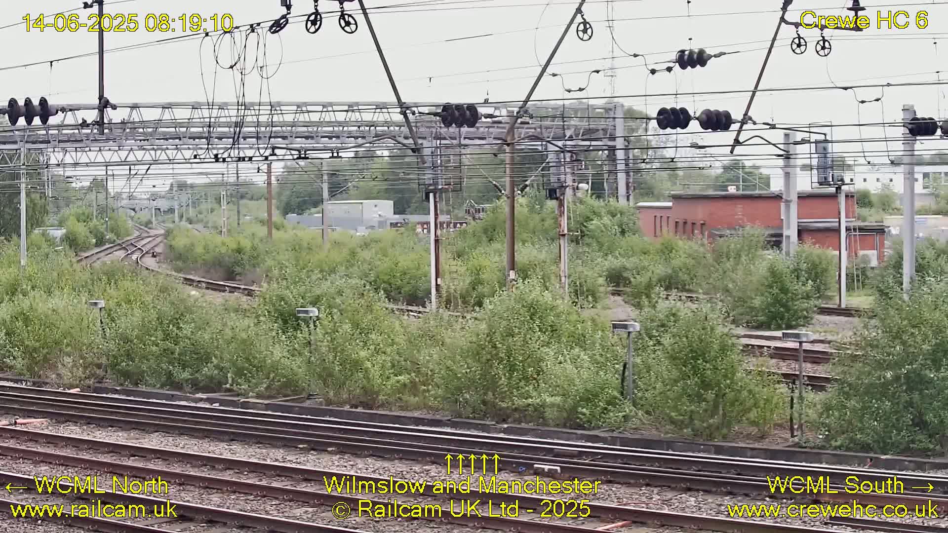 A view of railway tracks curving through overgrown vegetation under an overcast sky, with overhead power lines and railway infrastructure visible.