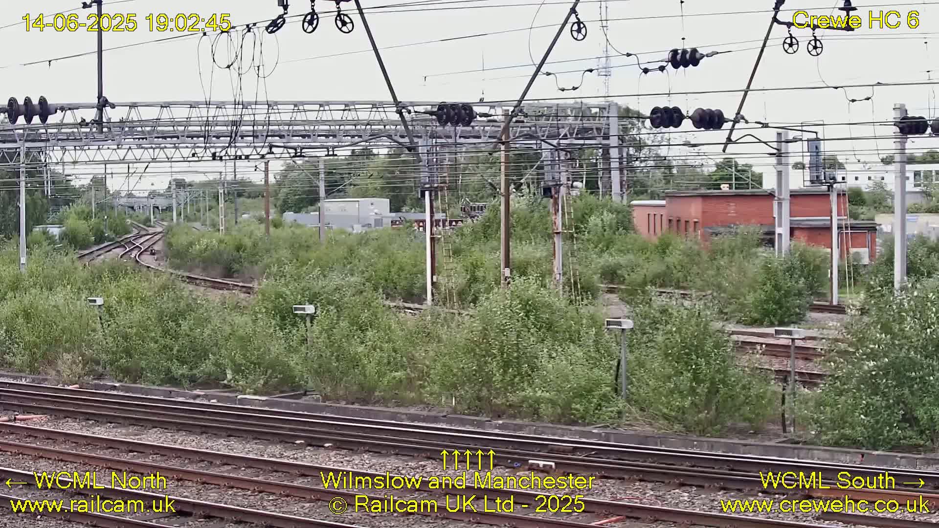 A view of railway tracks curving through overgrown vegetation under an overcast sky.