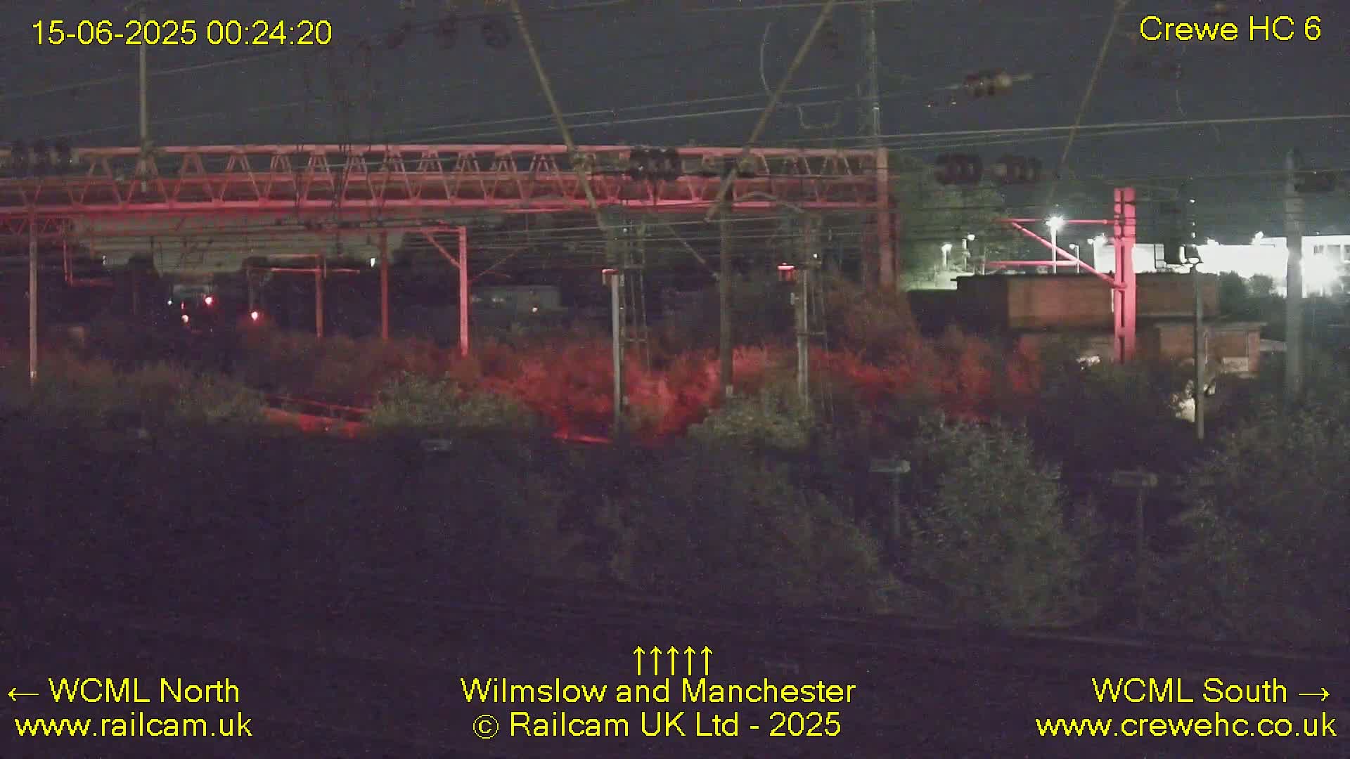 A view of railway tracks curving through overgrown vegetation under an overcast sky.