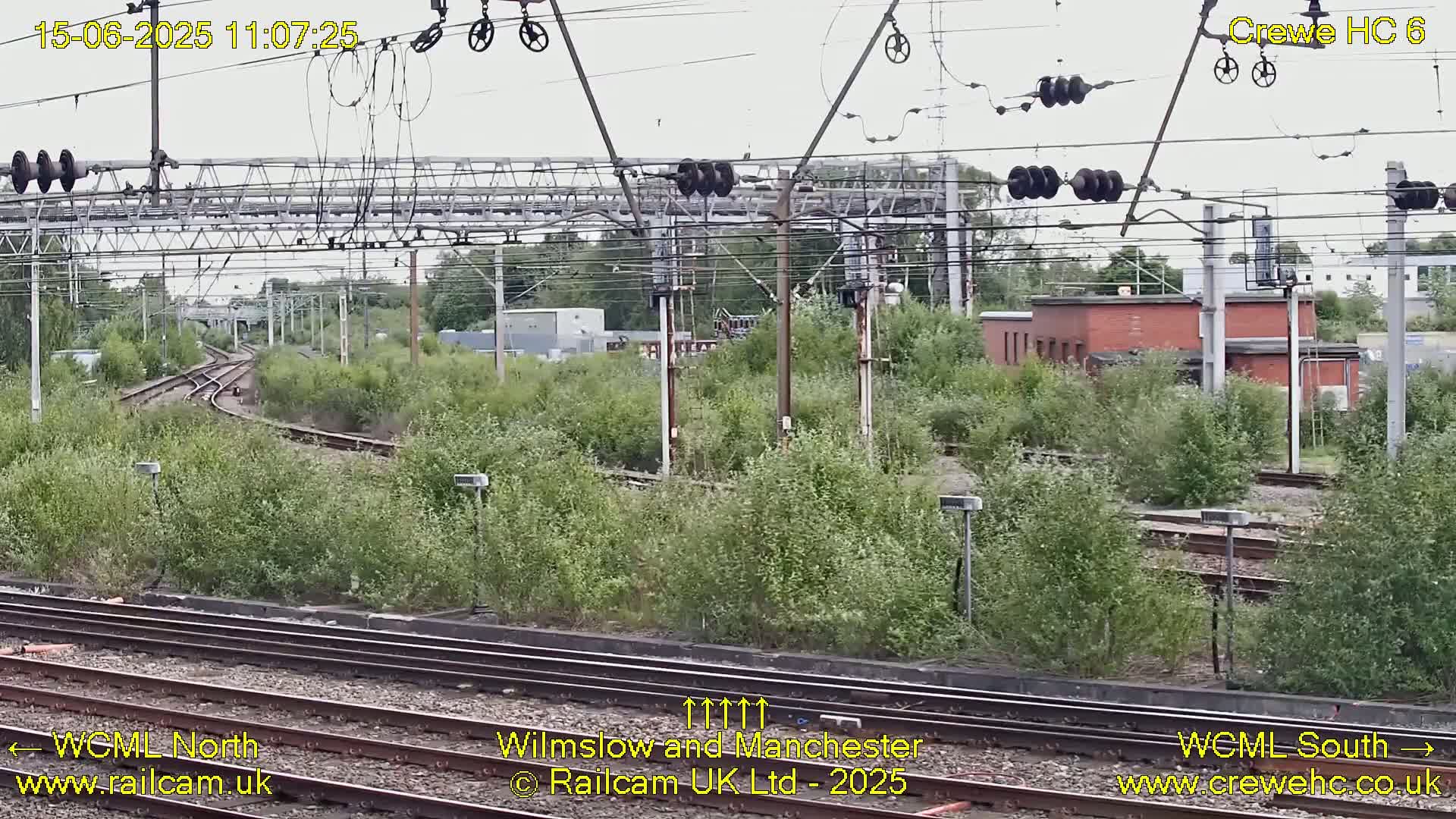 Overgrown vegetation surrounds a railway junction under an overcast sky.