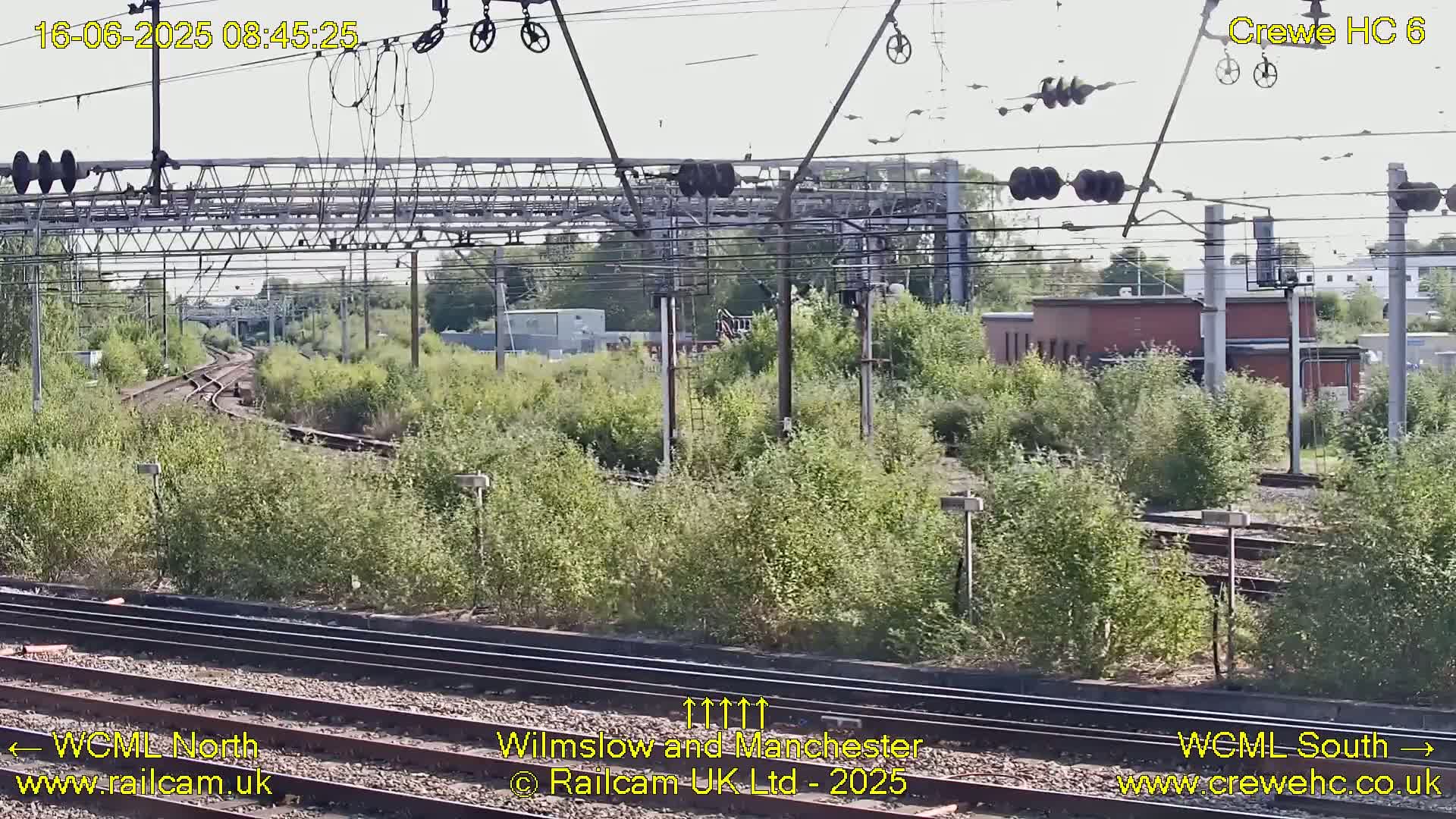 A sunny view of railway tracks and overhead lines curving through overgrown vegetation.