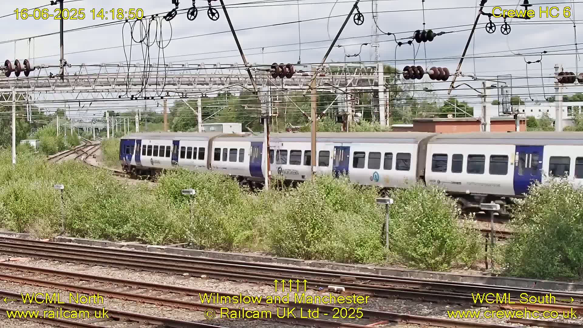A long, white and blue passenger train passes by on a sunny day, partially obscured by overgrown vegetation beside railway tracks.