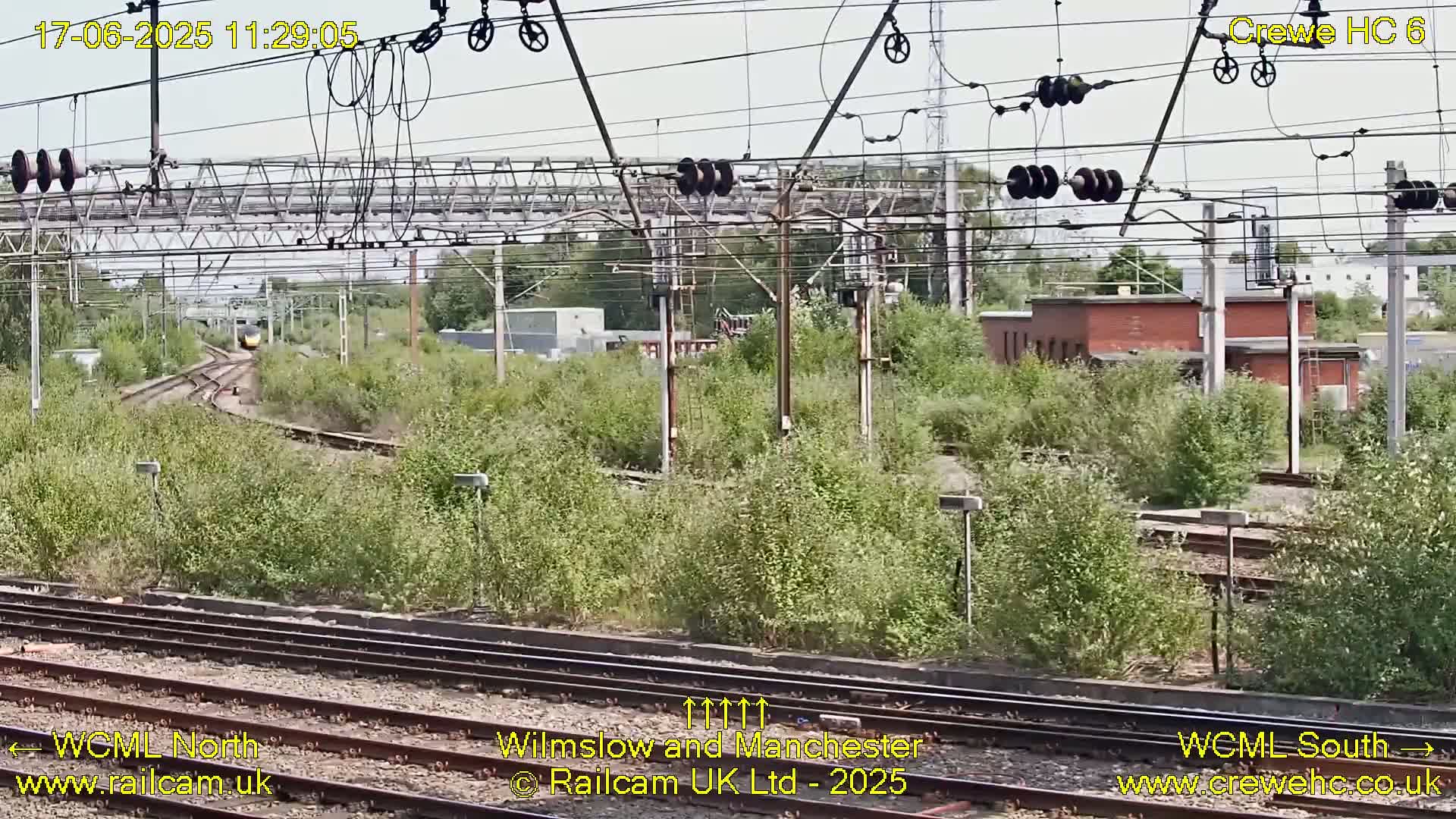 A train is traveling on a curved railway track surrounded by lush green vegetation under a sunny sky.