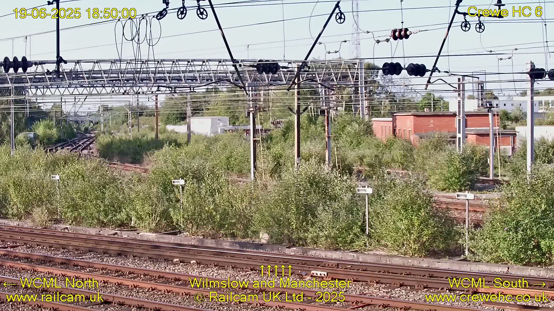 A view of railway tracks and infrastructure overgrown with green vegetation under a mostly clear sky.