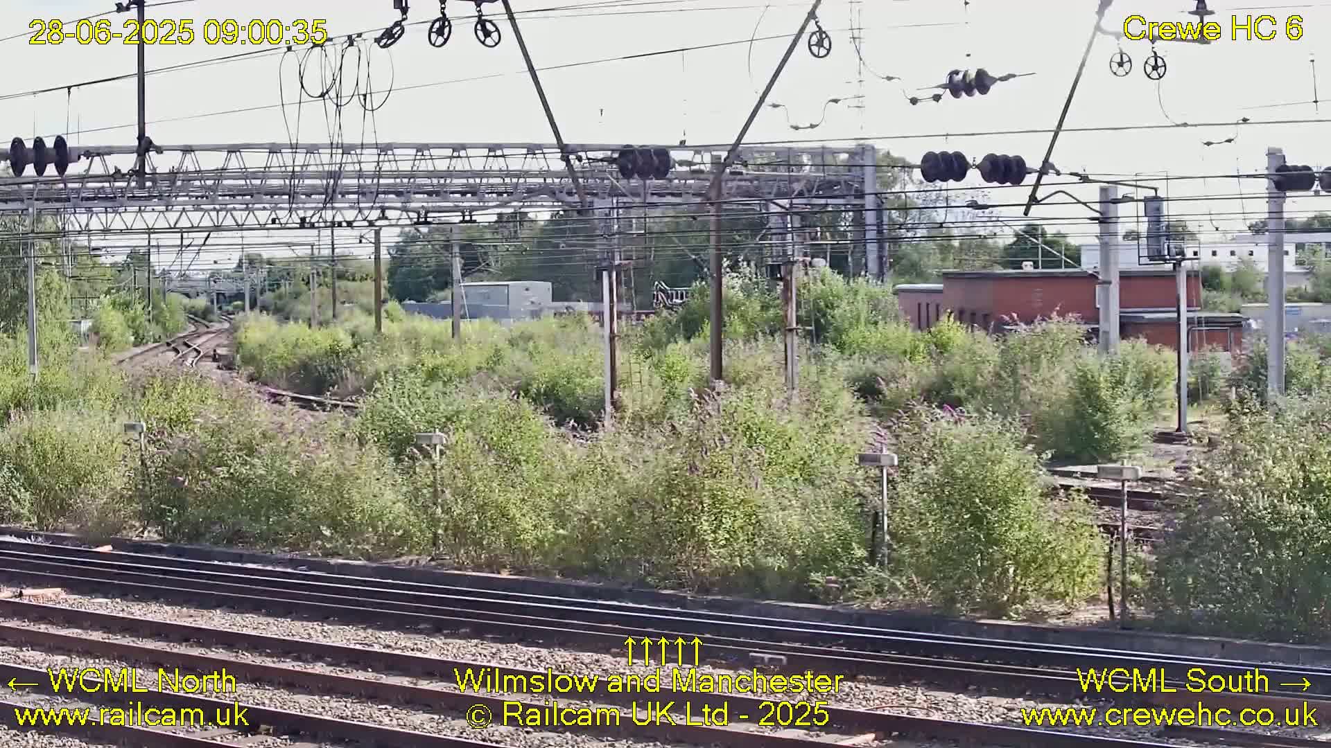 A sunny view of railway tracks and infrastructure overgrown with vegetation.