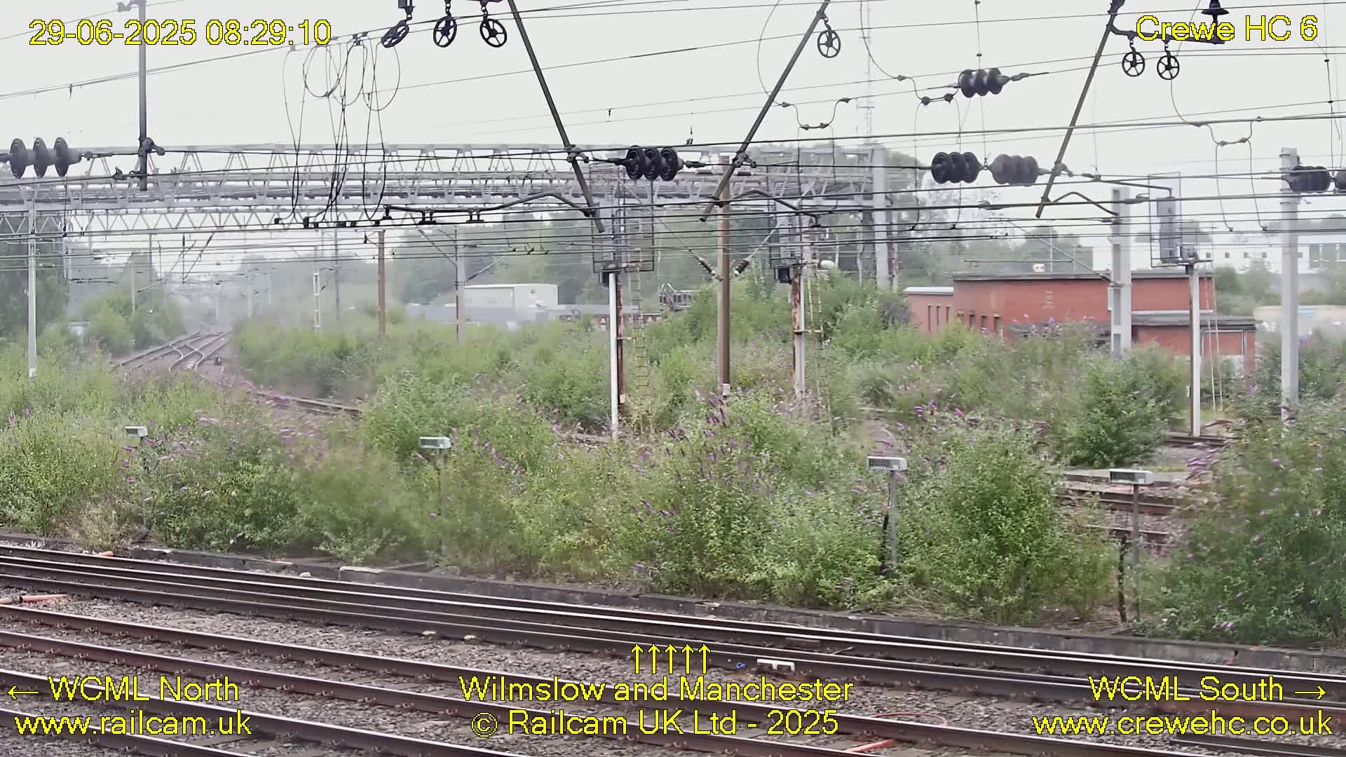 Overgrown vegetation between railway tracks is visible under an overcast sky.