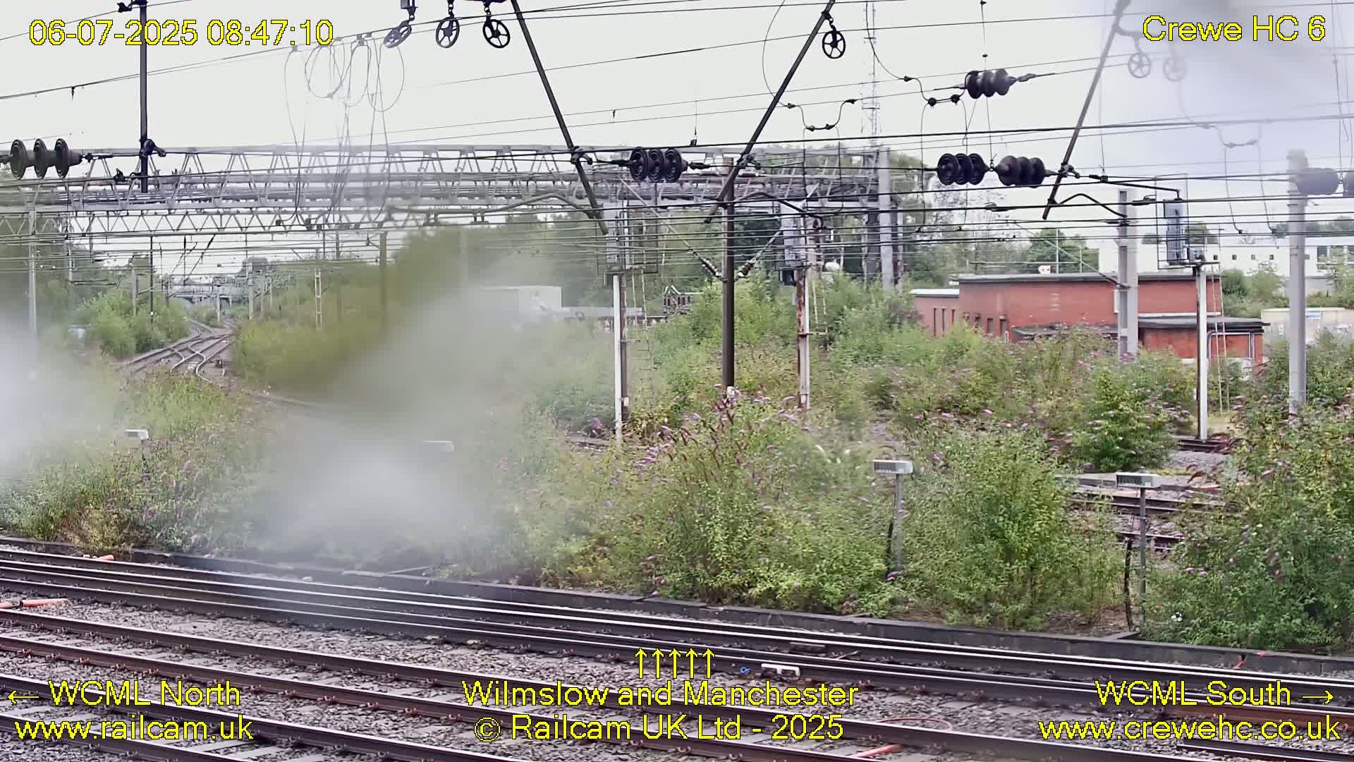 A view of railway tracks and overhead lines on an overcast day, with overgrown vegetation beside the tracks.