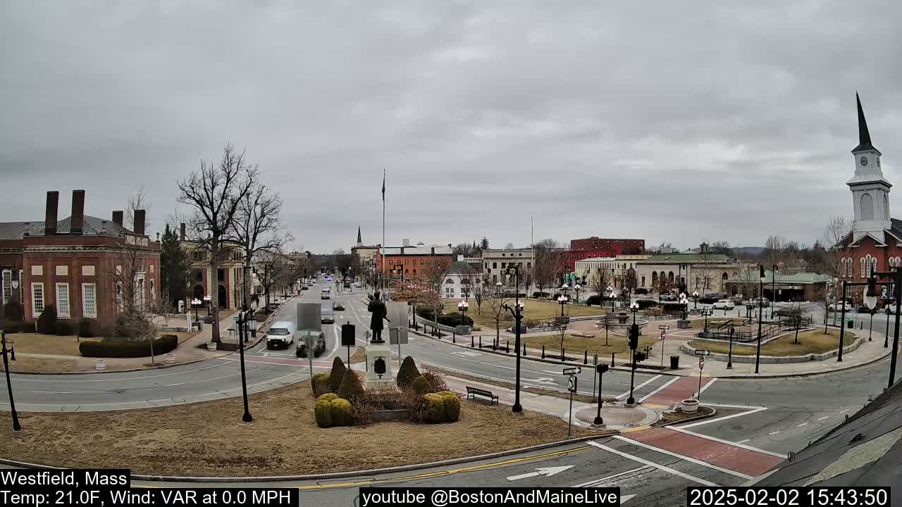A town square with brick buildings, a statue, and sparse trees under an overcast sky.