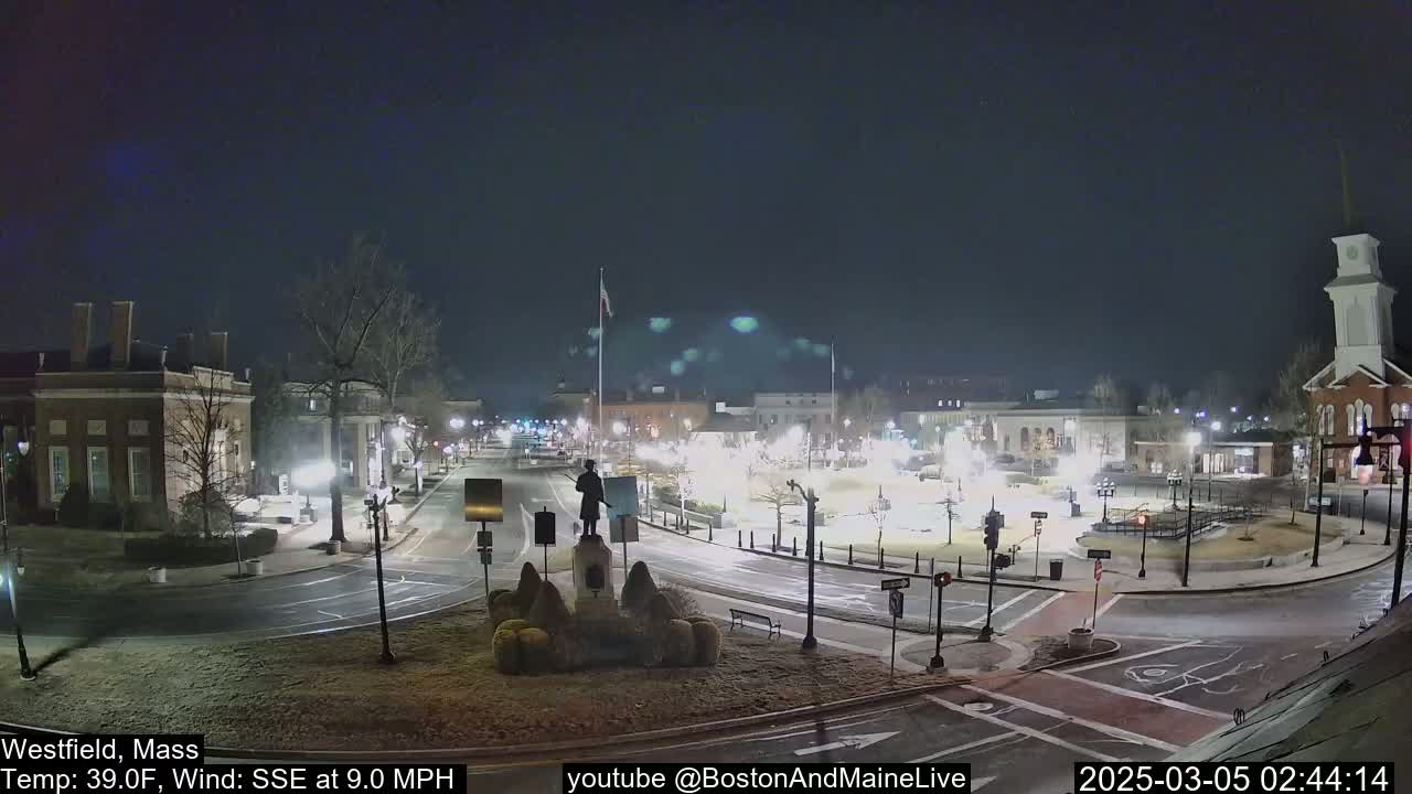 A nighttime view of a town square, illuminated by streetlights, with a statue in the center and a few buildings visible under a clear sky.