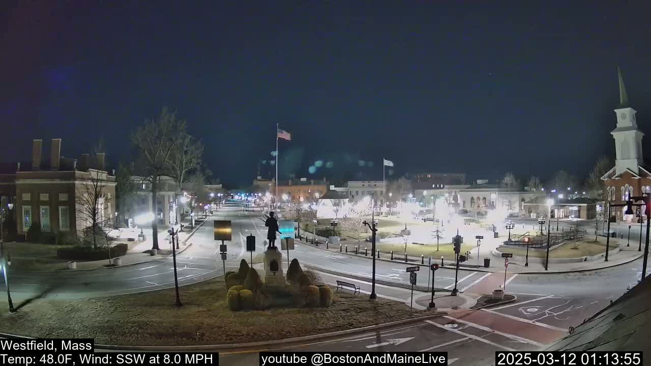 A nighttime view of a town square with a statue in the center, surrounded by buildings and streets under a clear, dark sky, with a light wind.