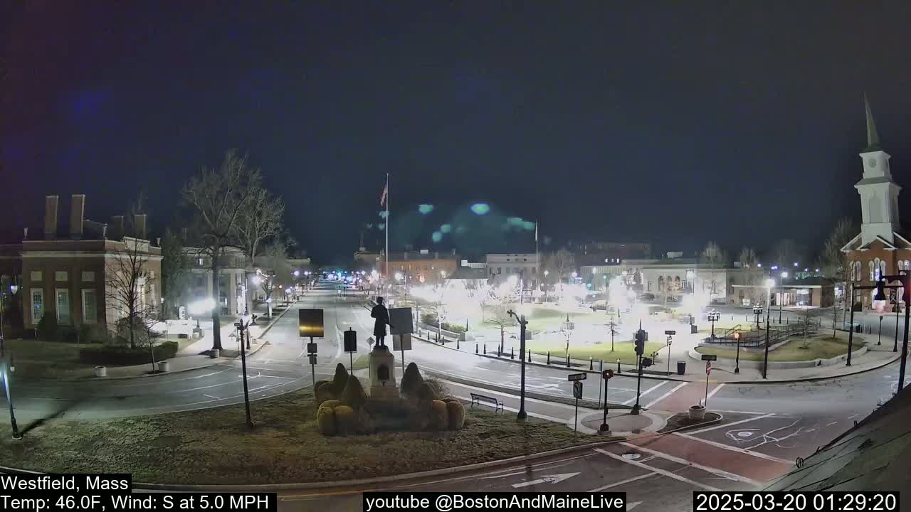 A nighttime view of a town square with a statue in the center, surrounded by buildings and trees under a clear, dark sky.