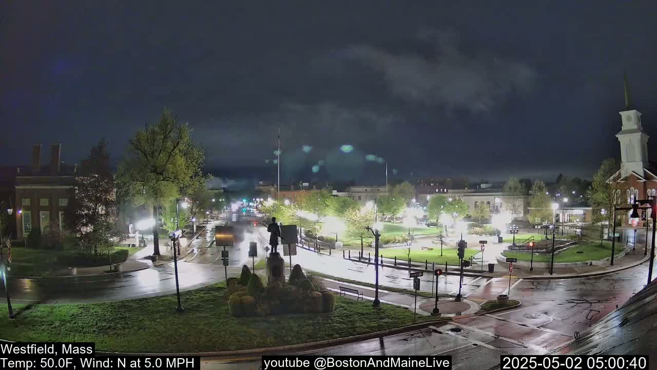 A nighttime view of a town square with wet streets, illuminated buildings, and a statue in the center, under a cloudy sky.