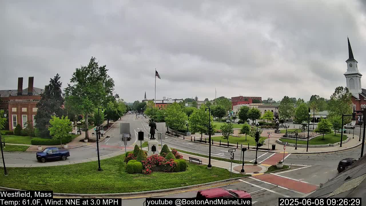 A town square with a statue, green spaces, and brick buildings under an overcast sky.